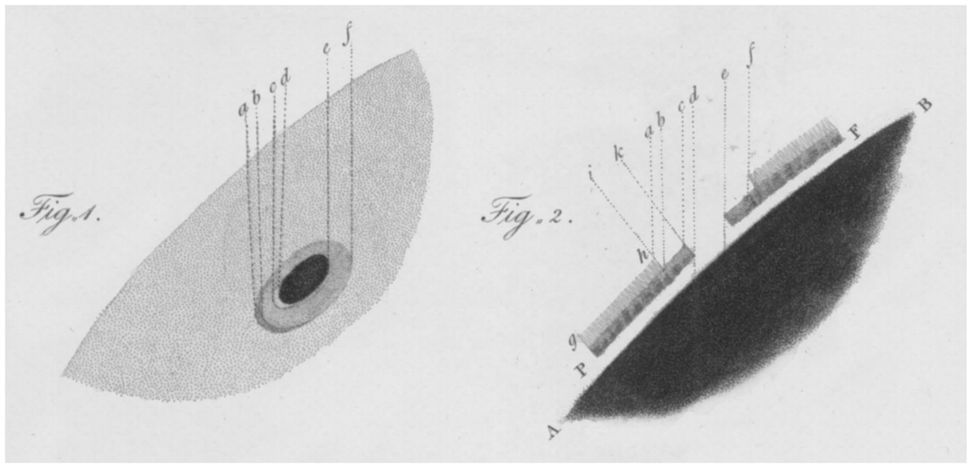Universe 10 00256 g008