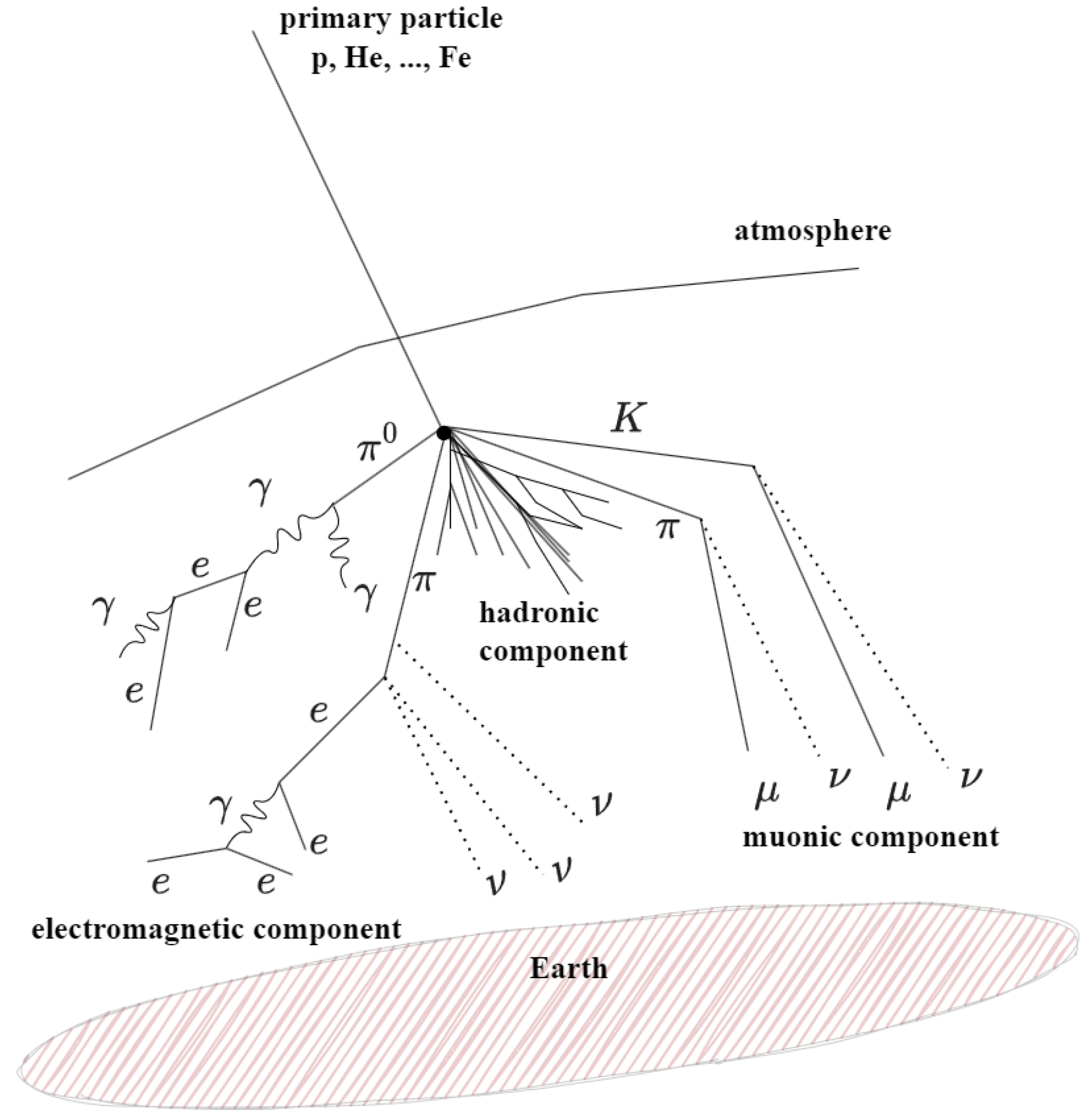 Universe 10 00327 g002