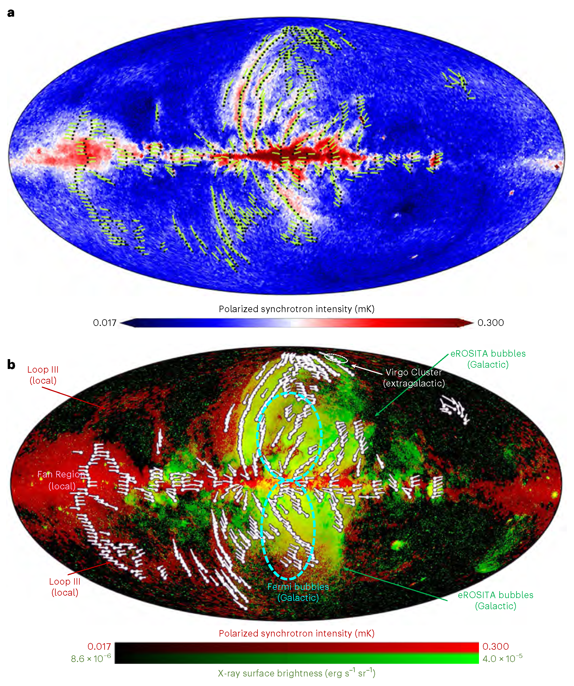 Universe 10 00424 g008