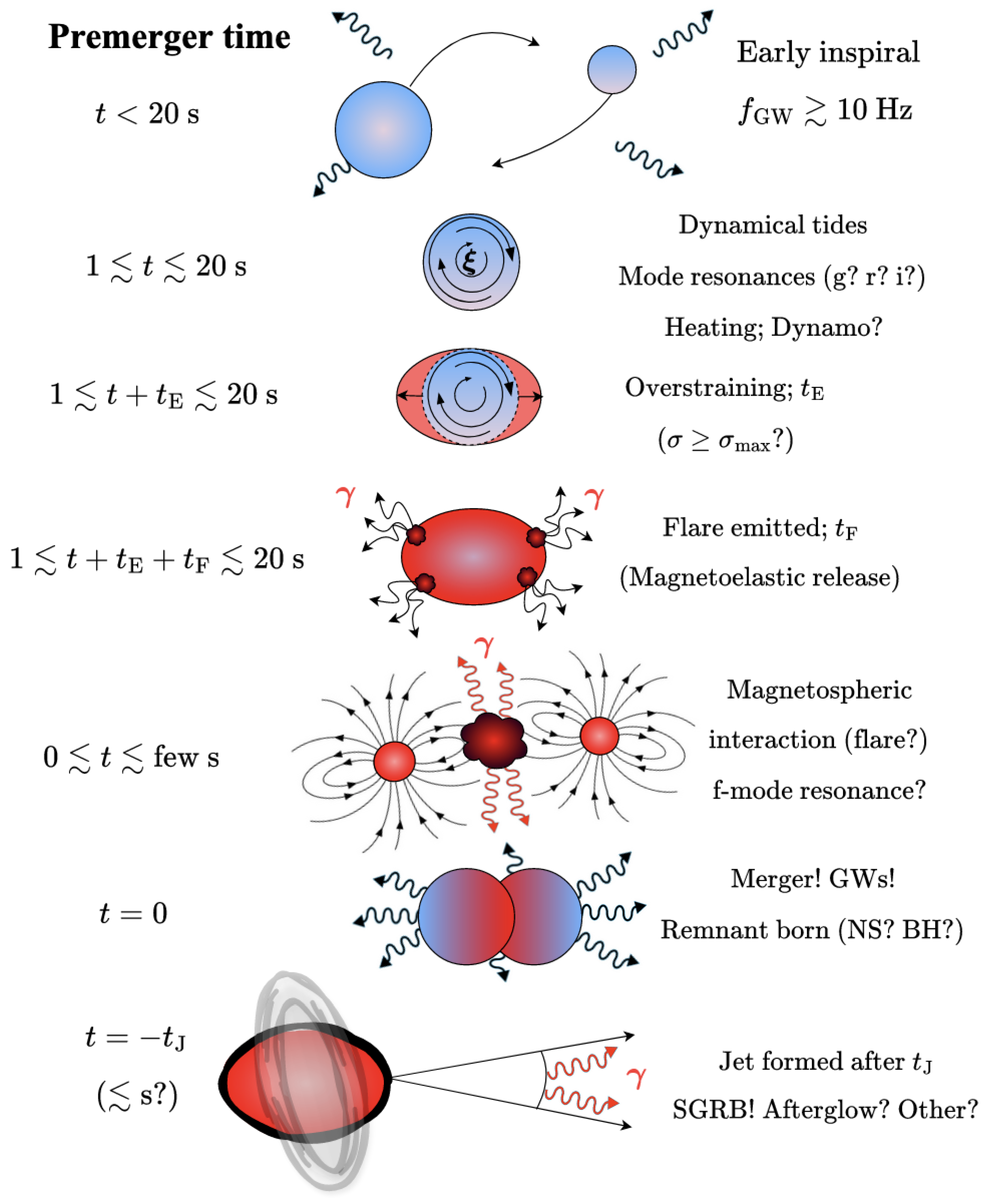 Premerger Phenomena in Neutron Star Binary Coalescences