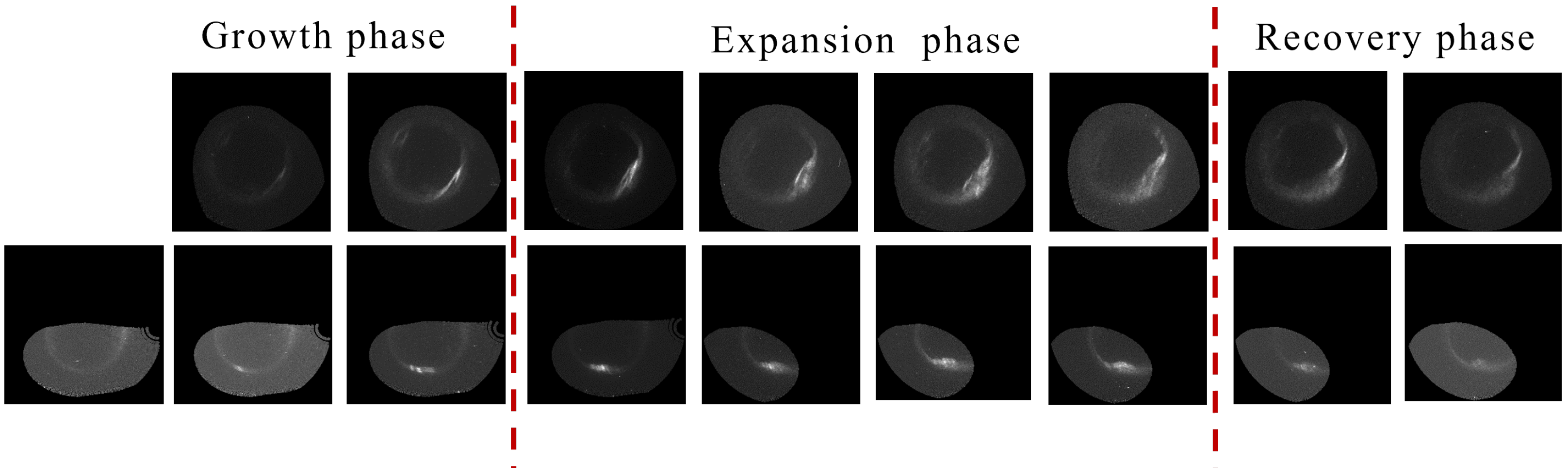 Universe 11 00265 g001