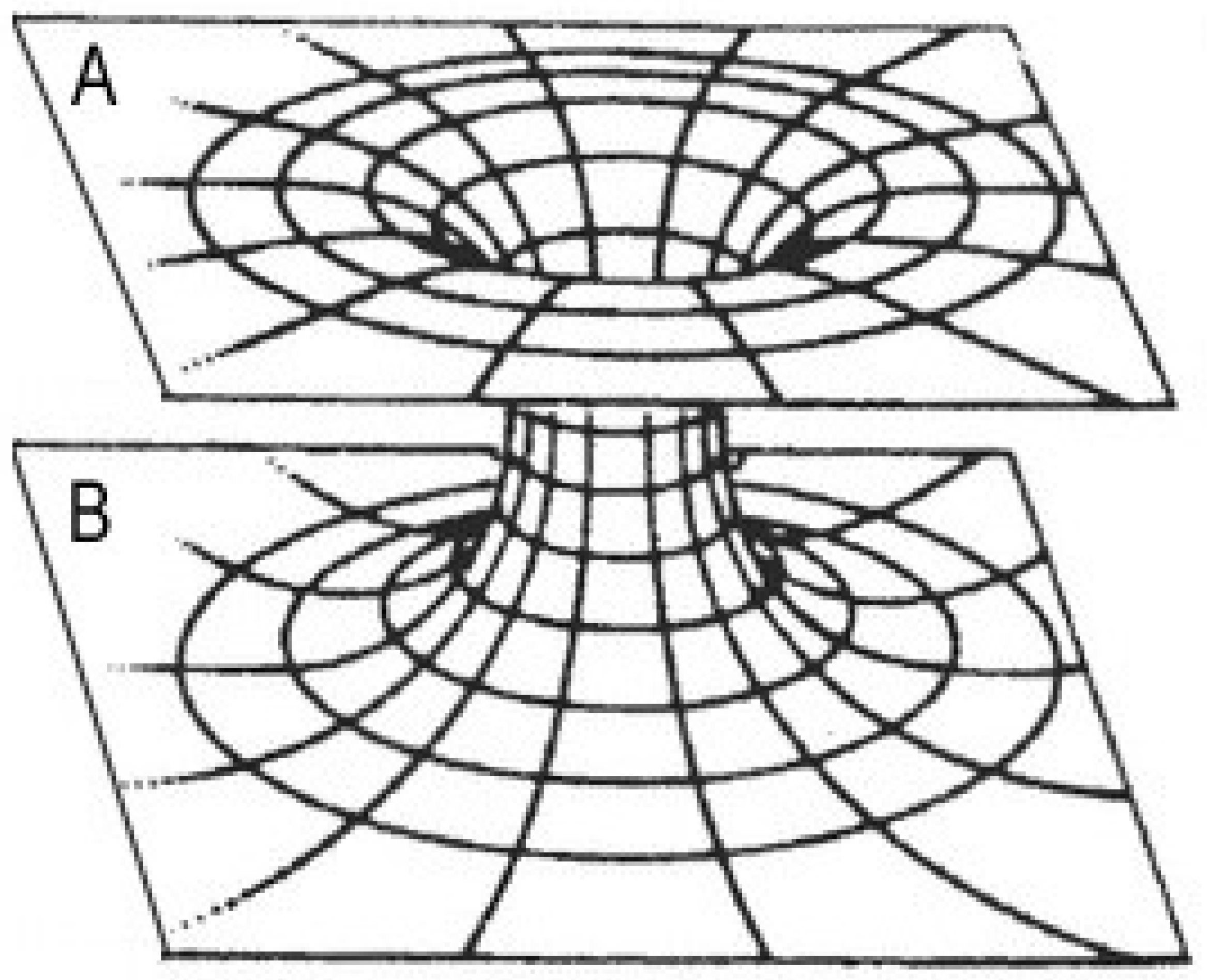 Universe 11 00347 g001