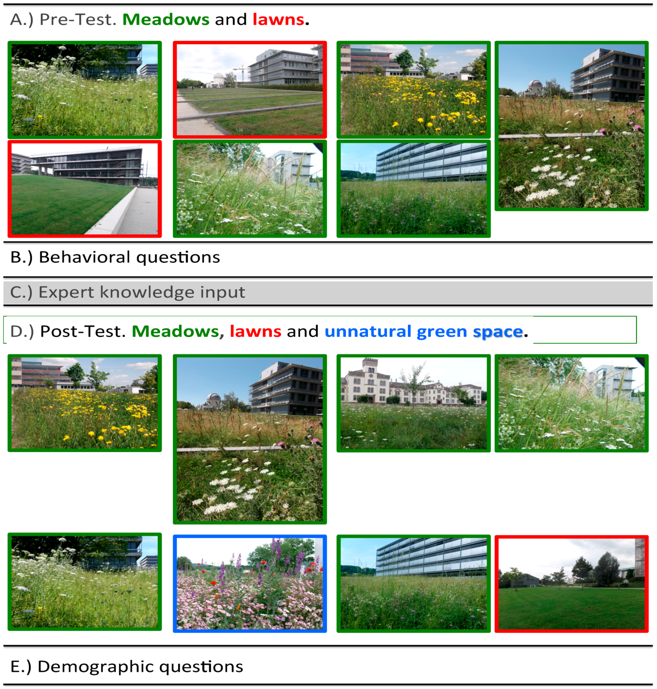 Urban Science | Free Full-Text | Urban Nature: Perception and Acceptance of Alternative Green Space Management and the Change of Awareness after of Environmental Information. A Chance for Biodiversity Protection
