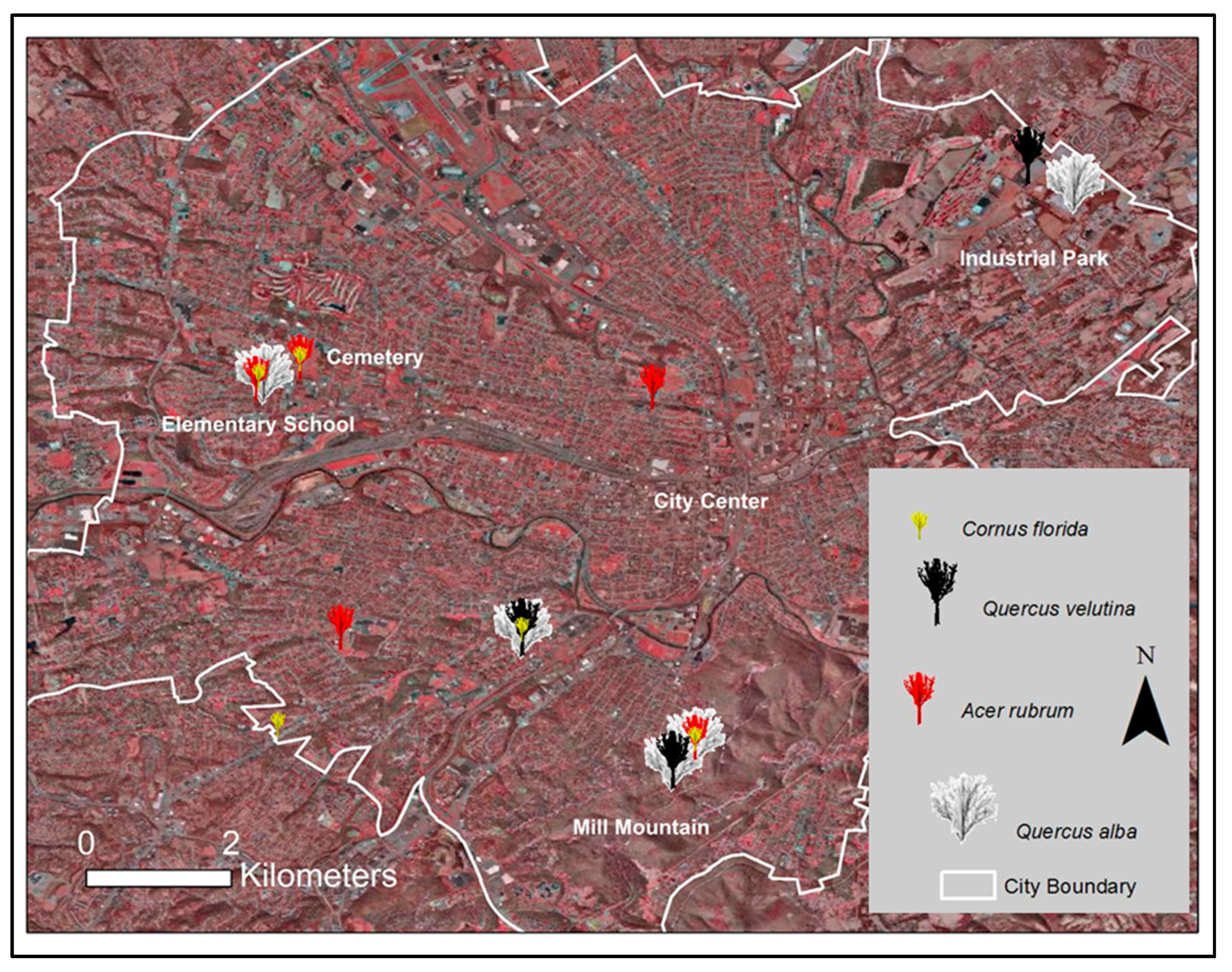 Urbansci 02 00026 g006 550