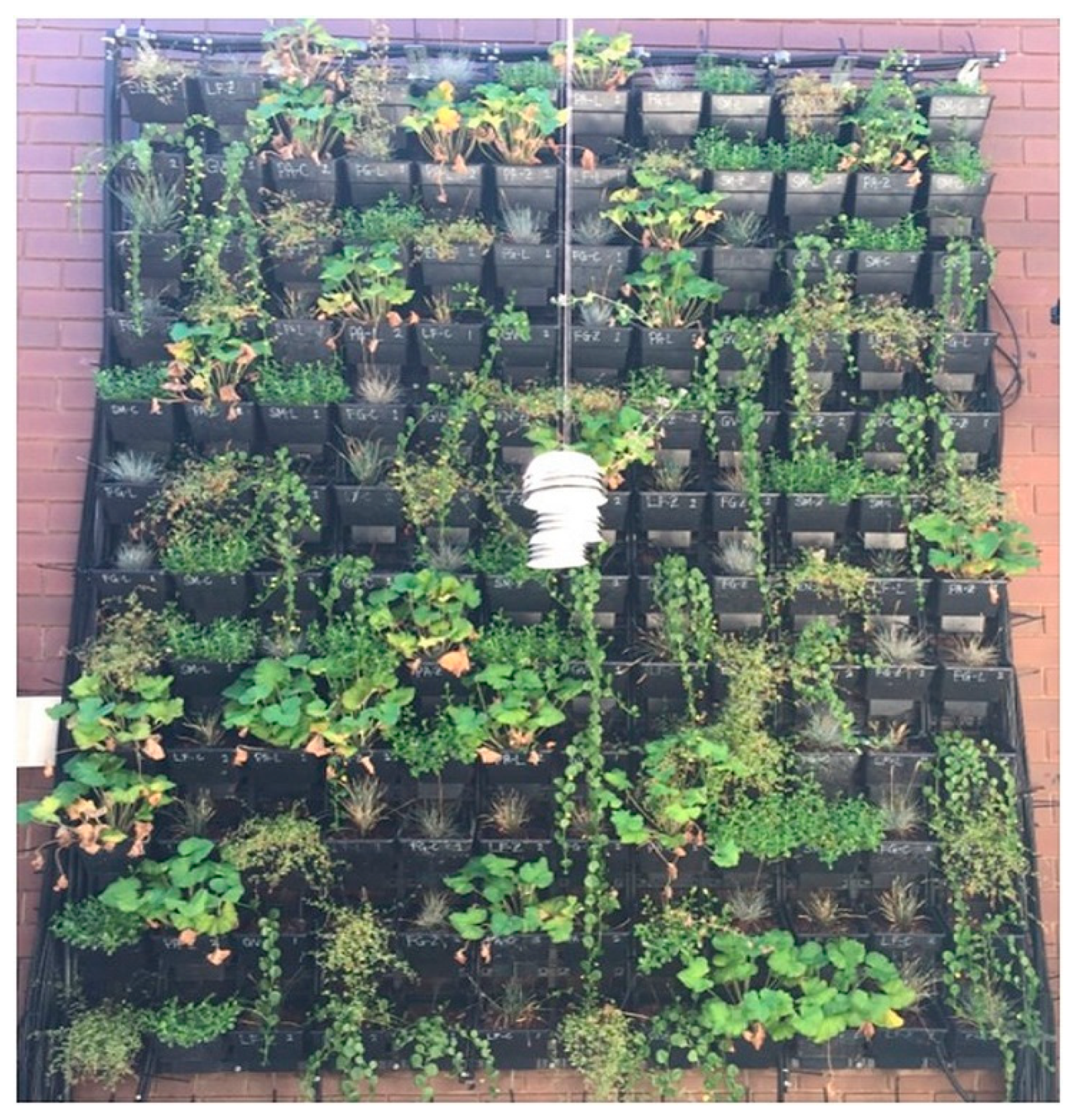 Urbansci 03 00071 g002