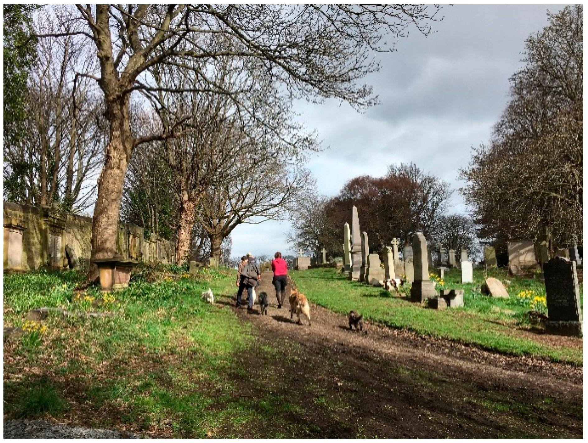 Urbansci 03 00072 g005 Urbansci 03 00072 g005