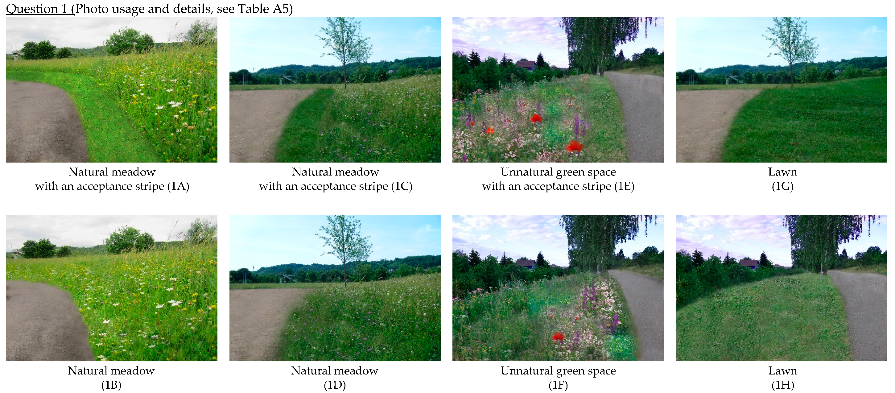 Urban Science Free Full Text Perception Of Urban Green Areas