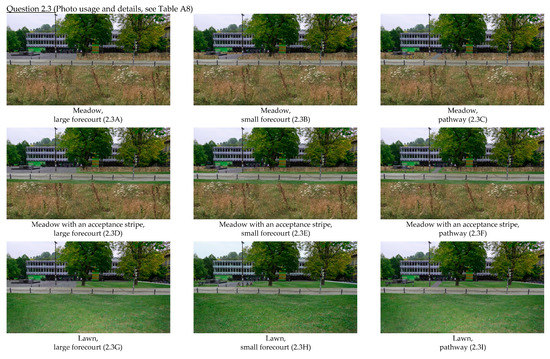 Urban Science Free Full Text Perception Of Urban Green Areas