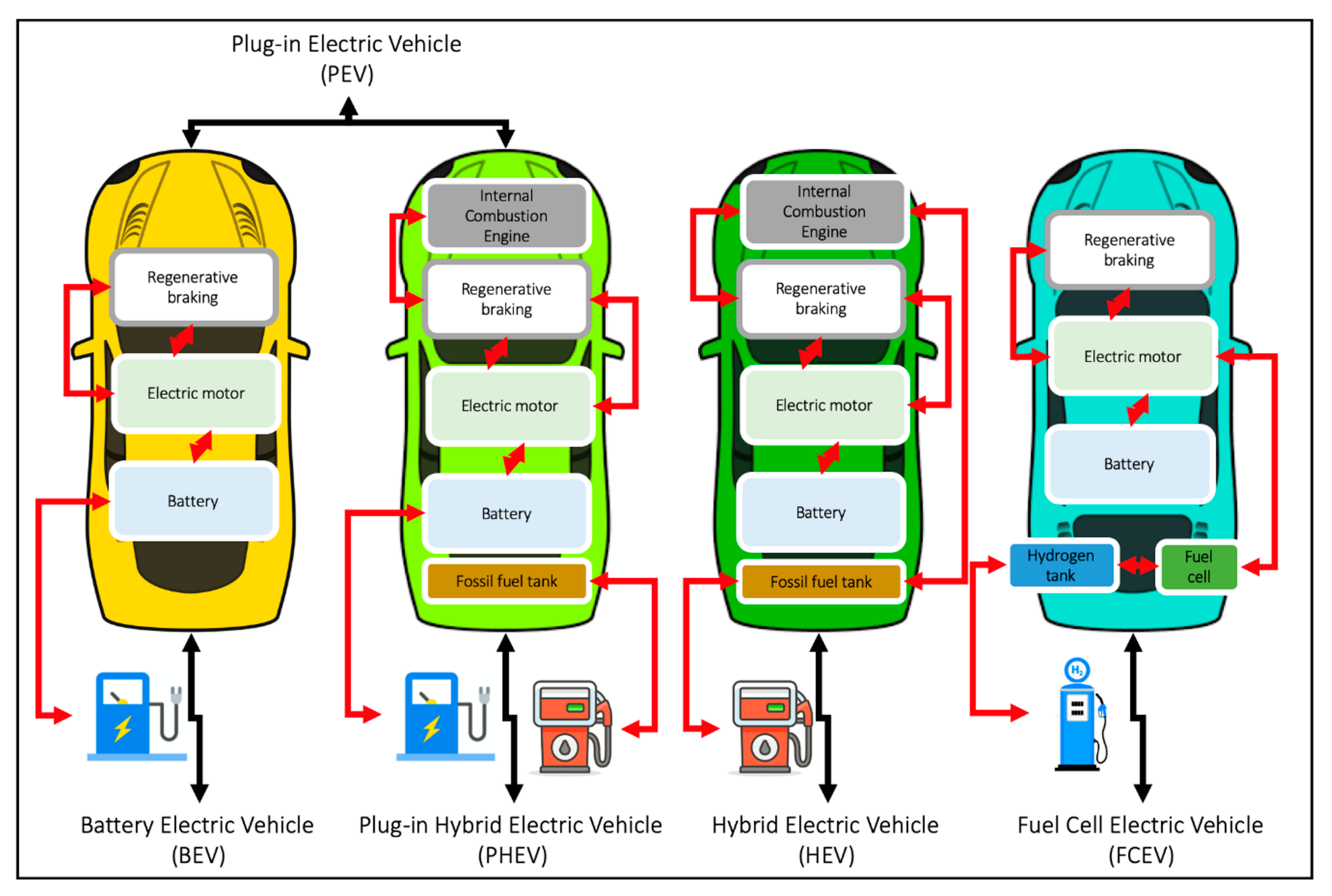 Types of Electric Vehicles: BEVs, PHEVs, HEVs - What's the Difference?