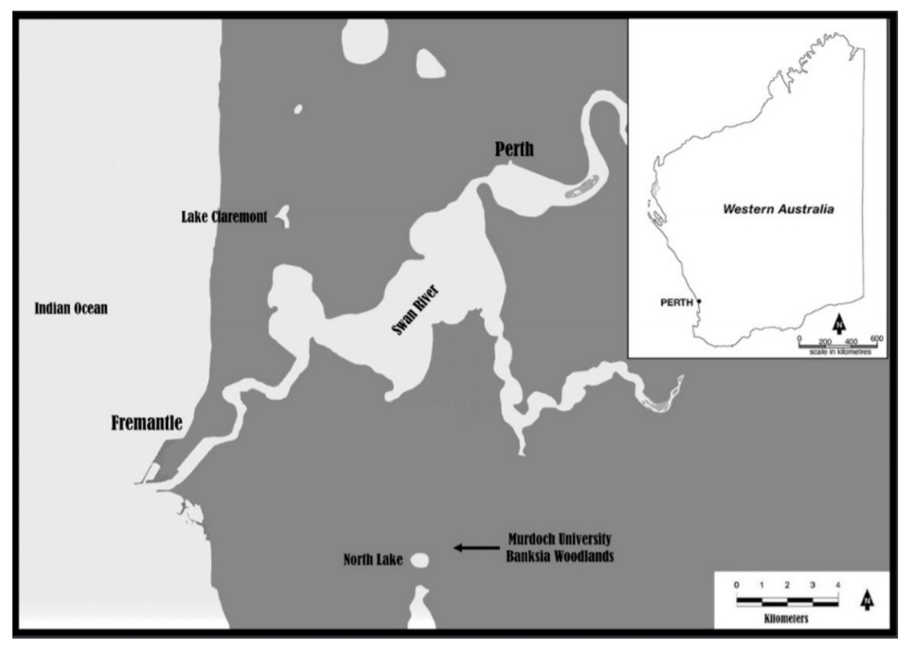 Urbansci 04 00072 g001