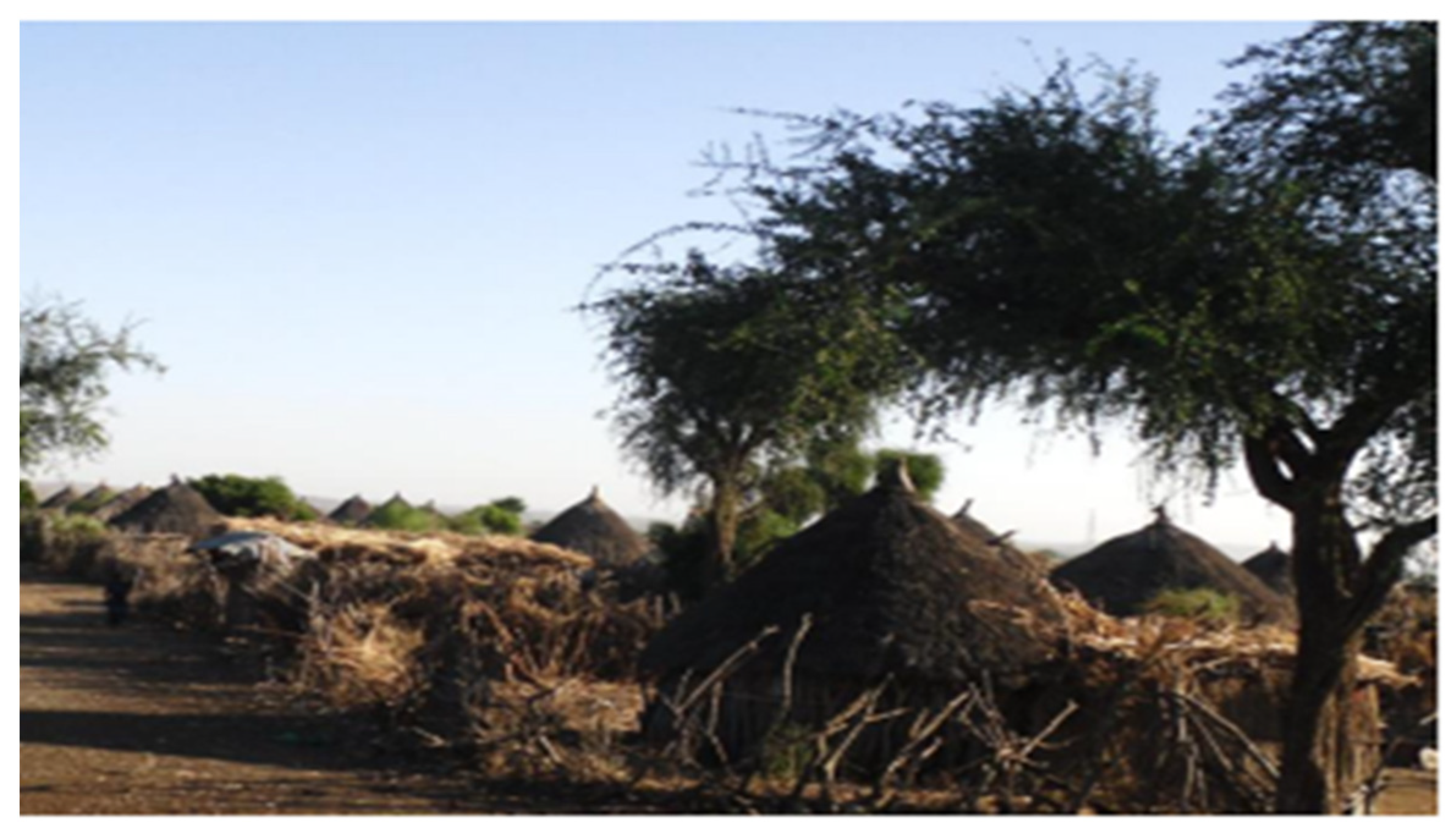 Urbansci 05 00053 g005