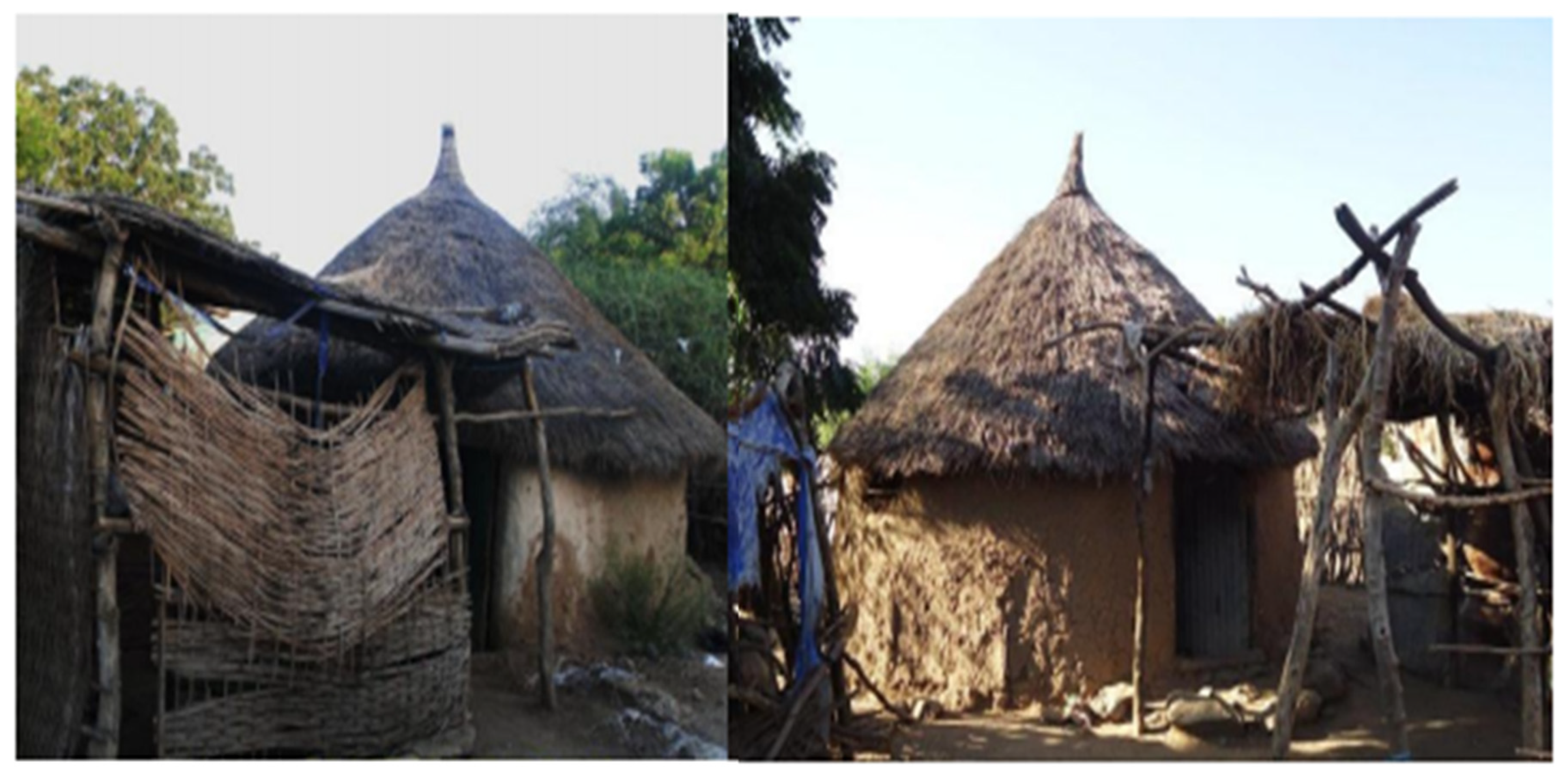 Urbansci 05 00053 g008