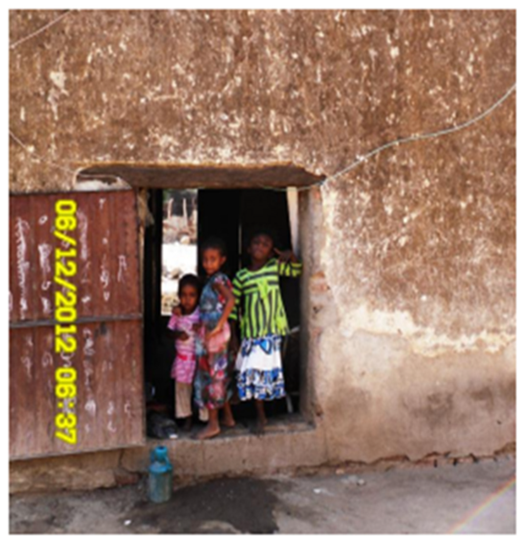 Urbansci 05 00053 g011