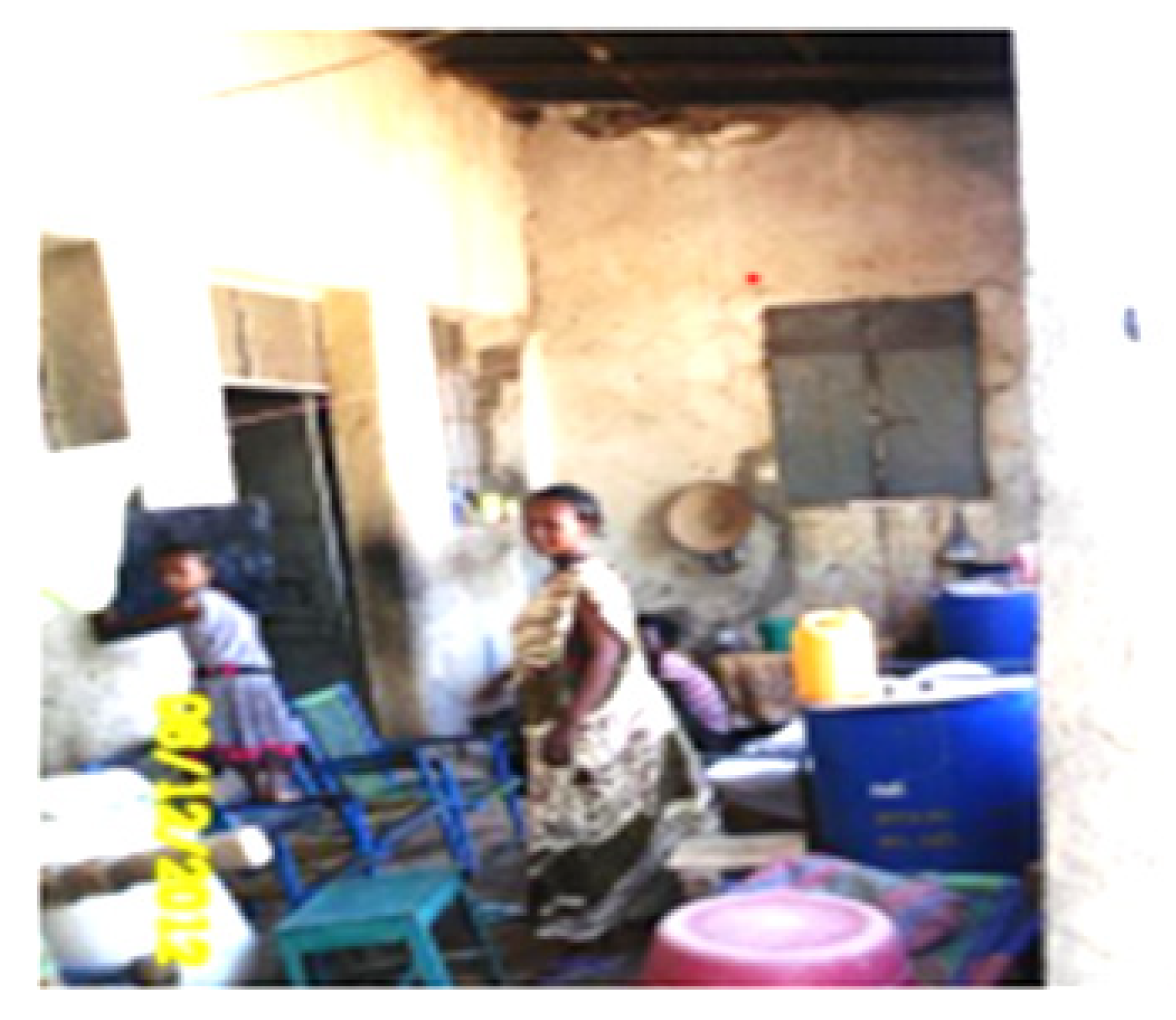 Urbansci 05 00053 g013