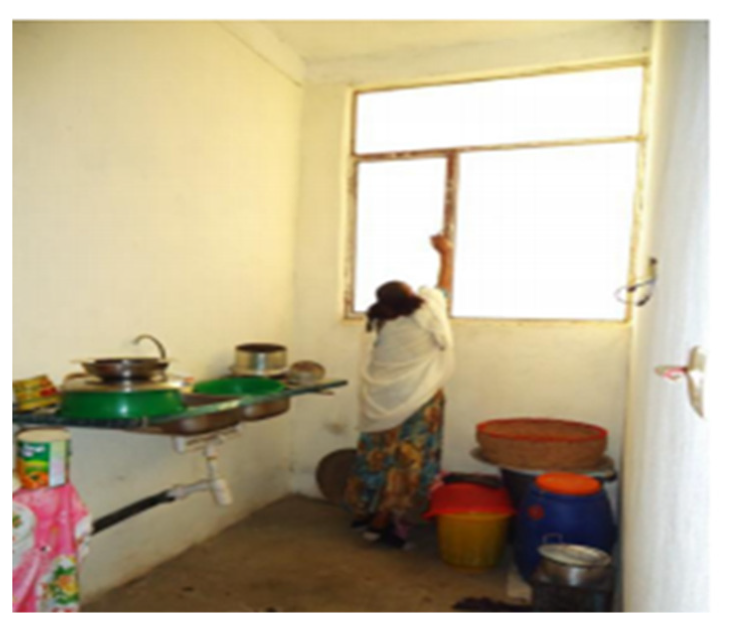 Urbansci 05 00053 g016