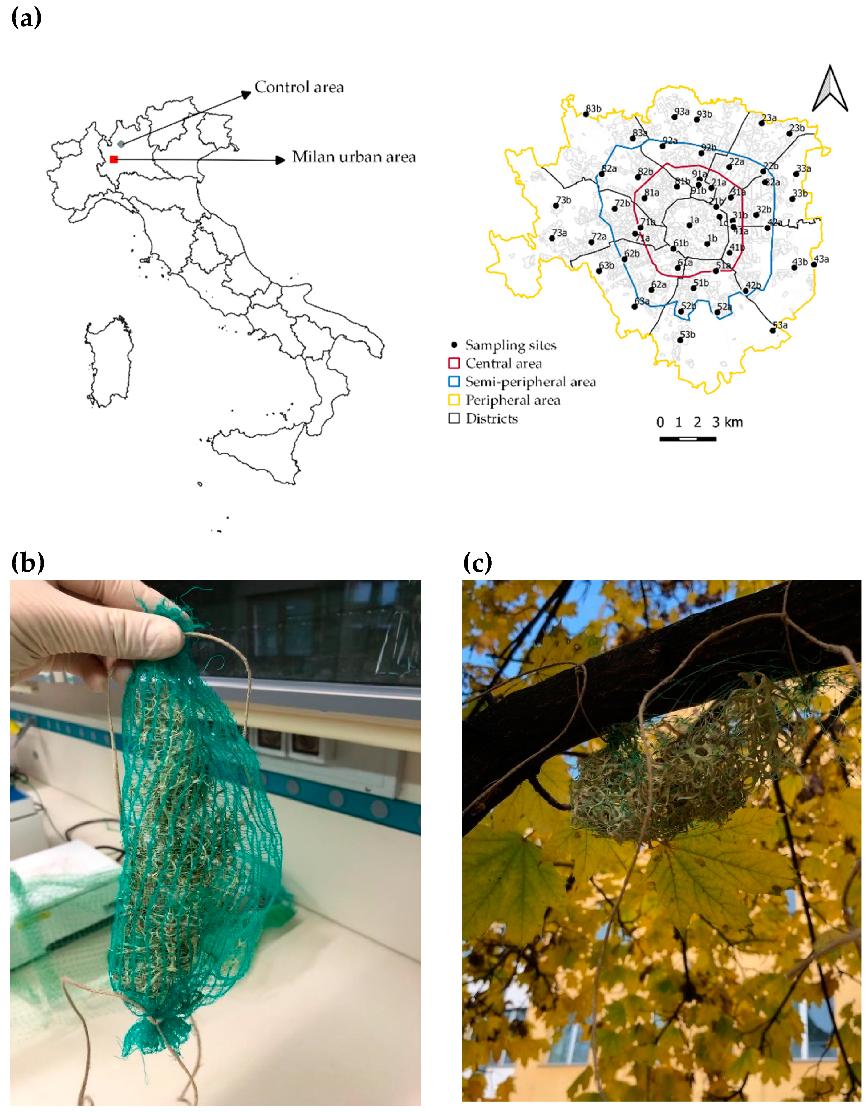 Urbansci 05 00064 g001 Urbansci 05 00064 g001