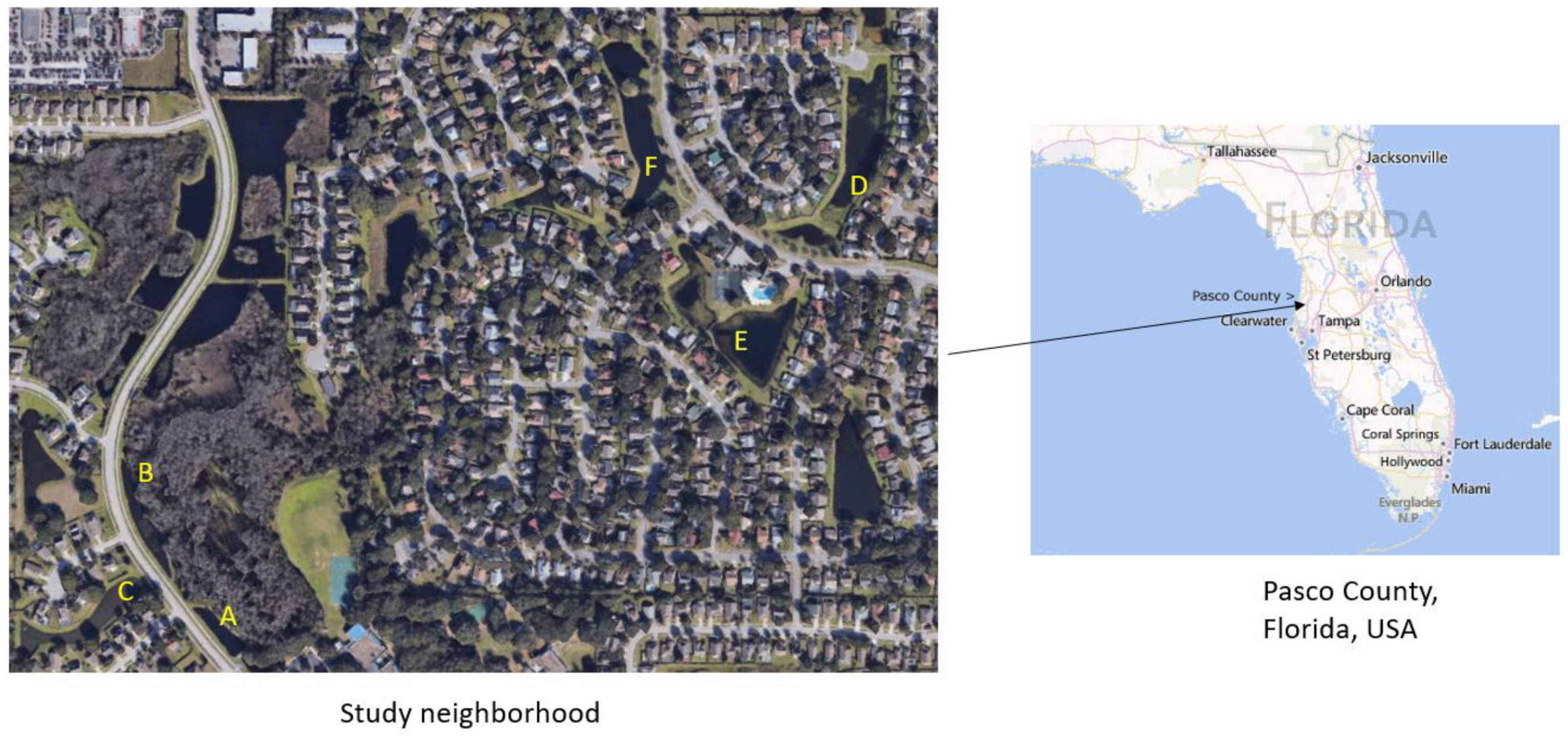 Urbansci 05 00081 g001 550