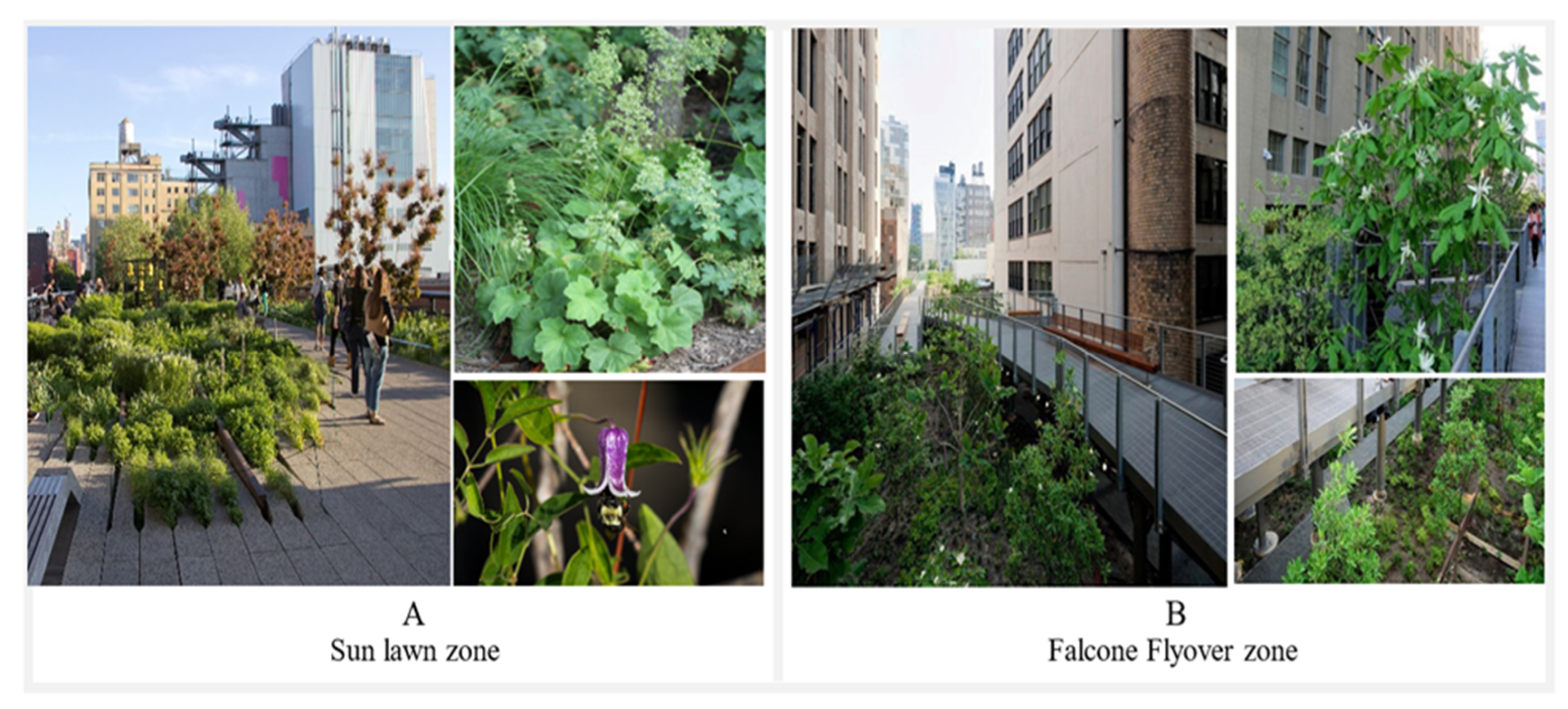 Urbansci 06 00002 g008 550