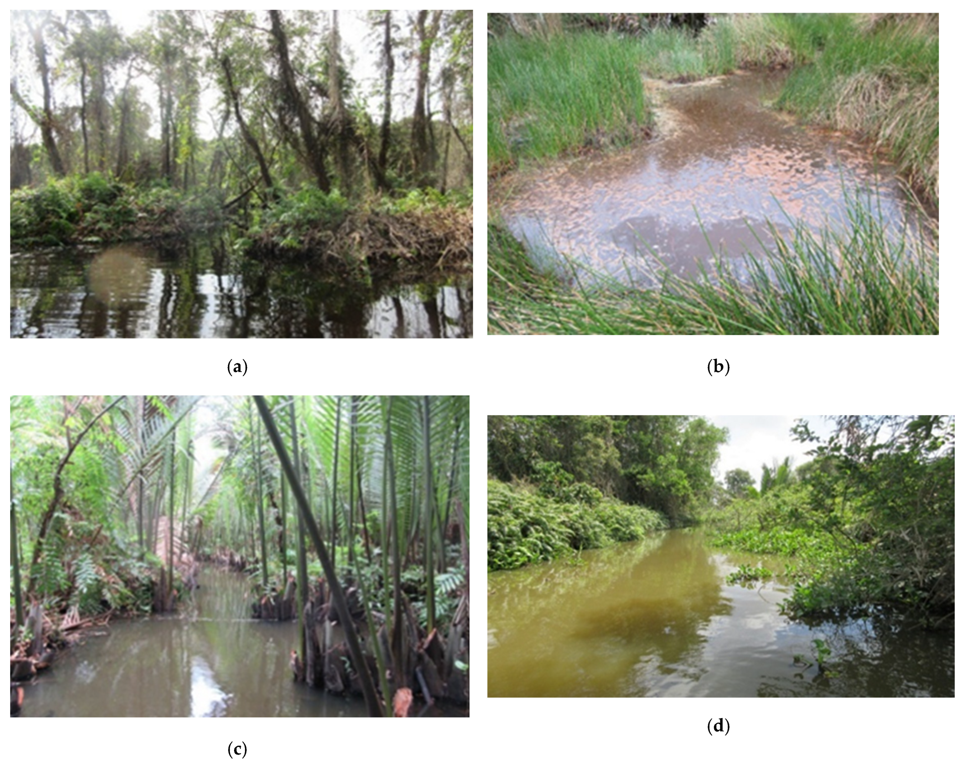 Urbansci 06 00021 g003a 550