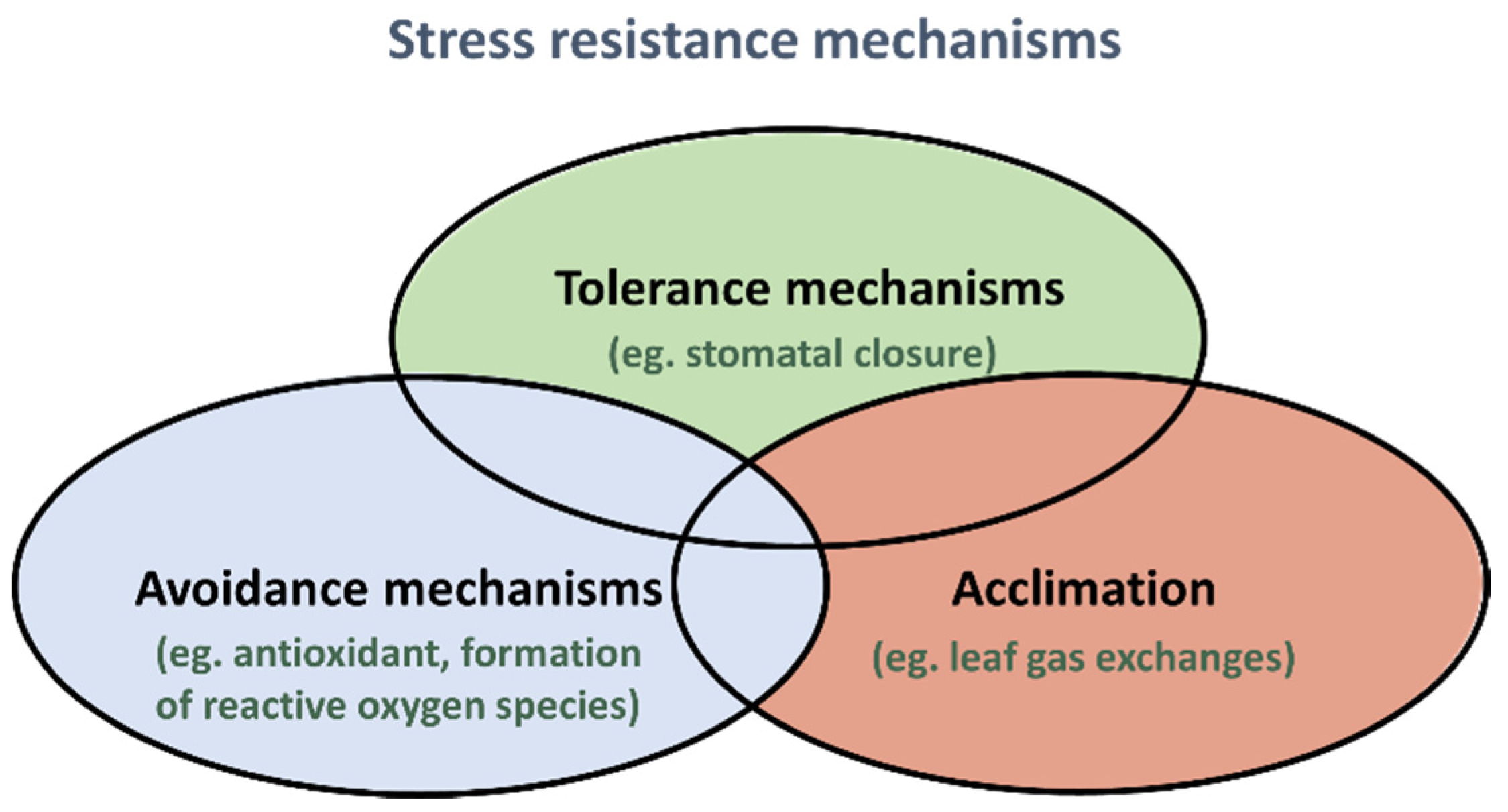 Urbansci 06 00037 g002 Urbansci 06 00037 g002