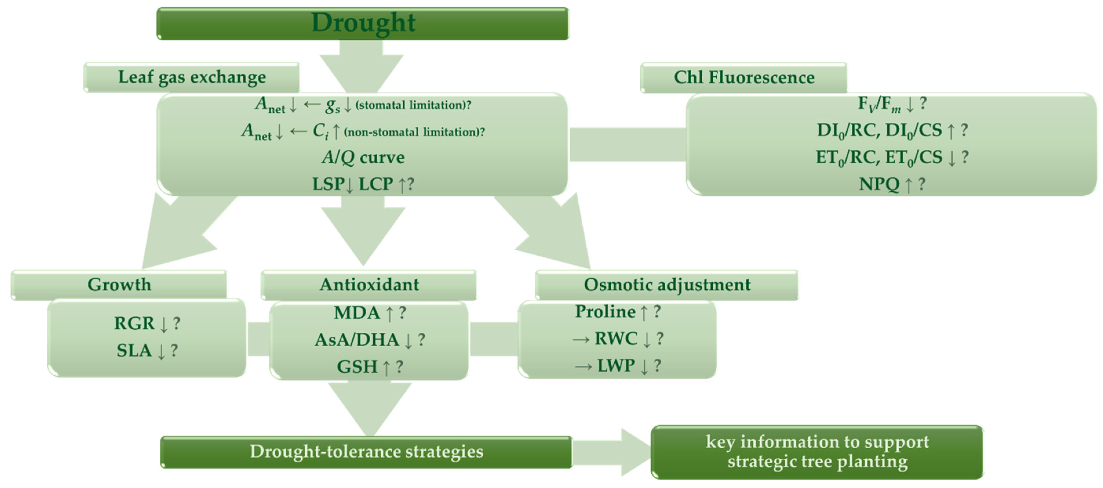 Urbansci 06 00037 g003 Urbansci 06 00037 g003