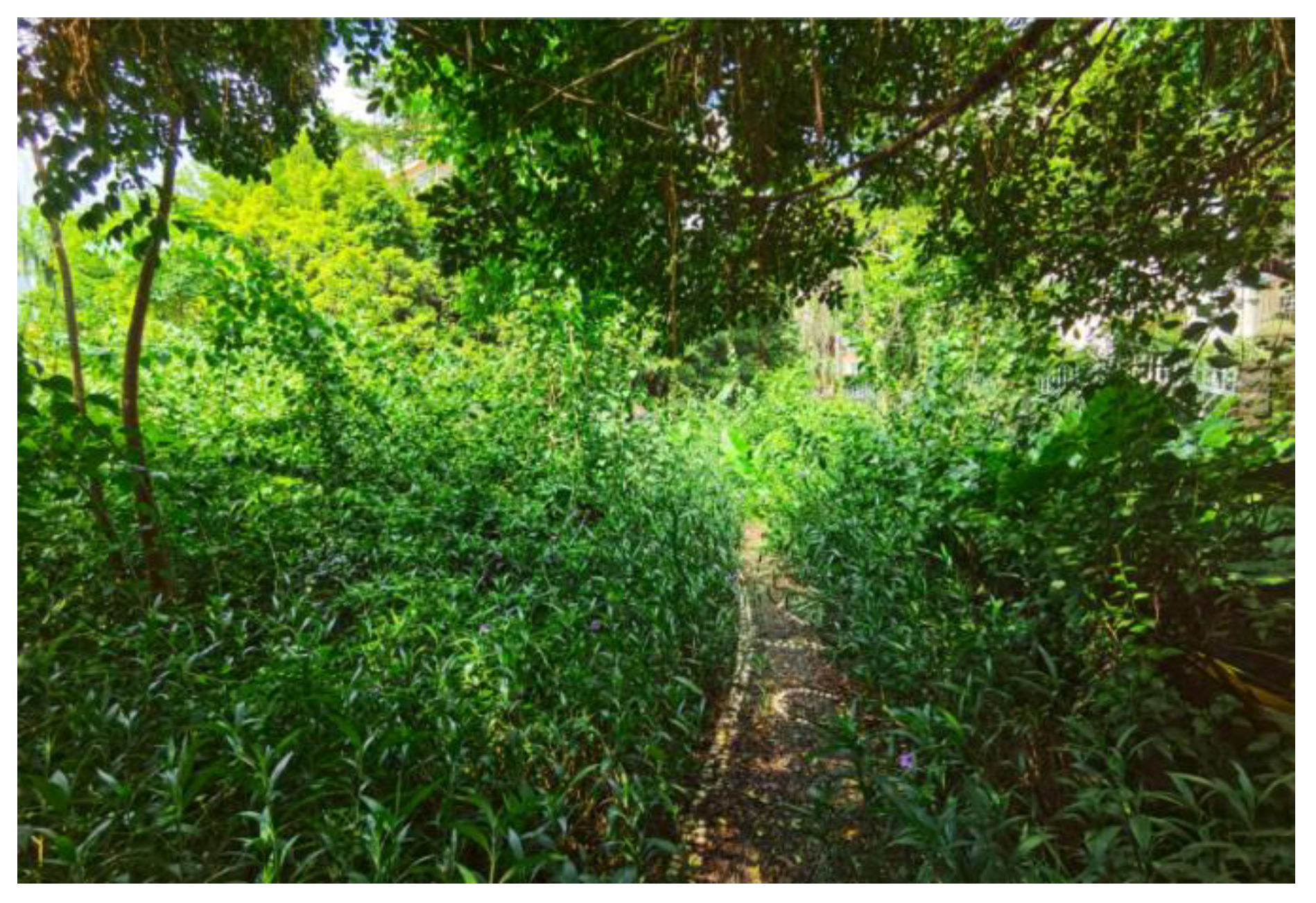 Urbansci 06 00041 g001 550