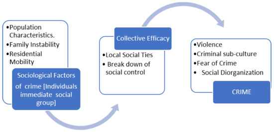 Crime and Social Control in Pandemic Times: Vol. 28