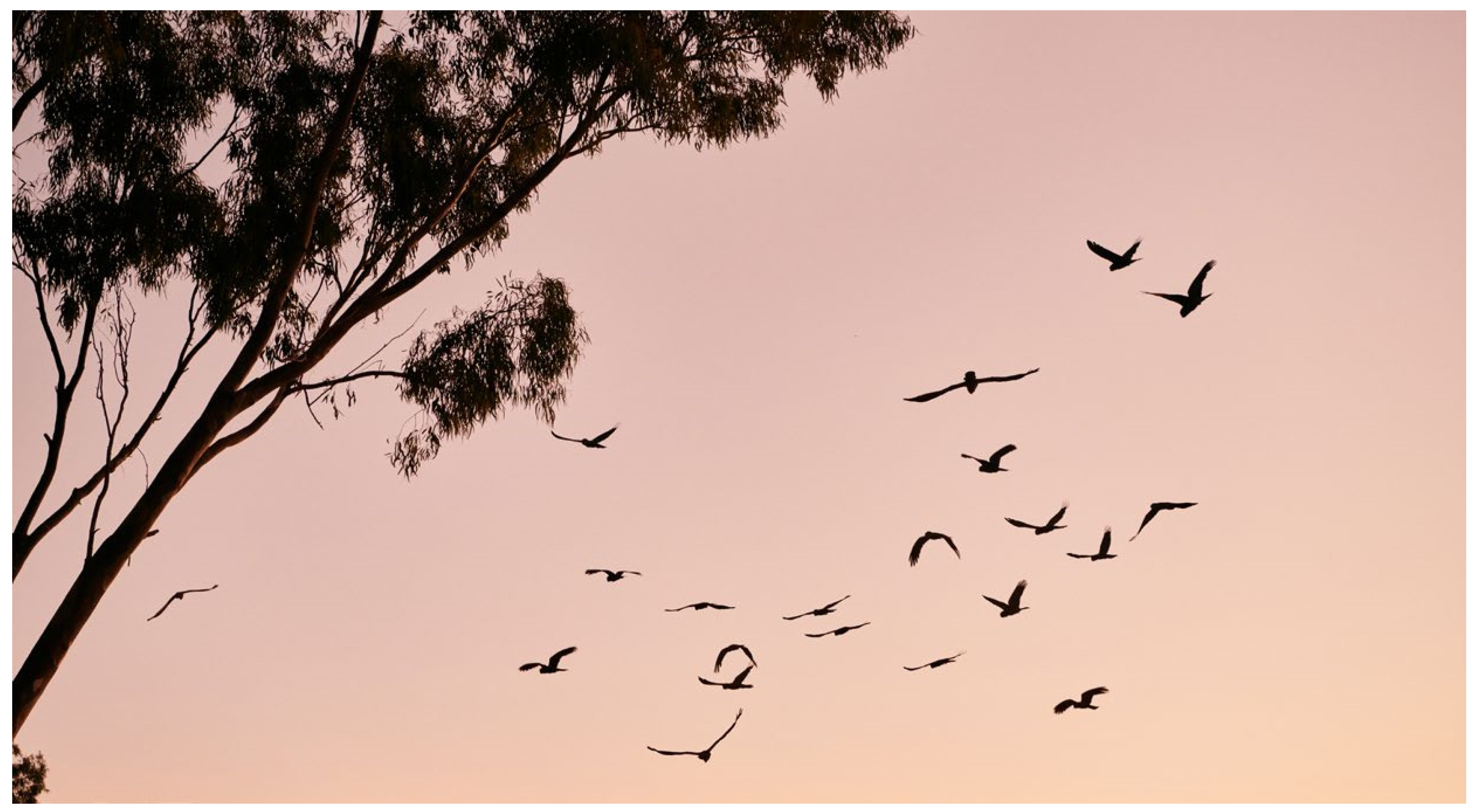 Urbansci 06 00047 g002 Urbansci 06 00047 g002