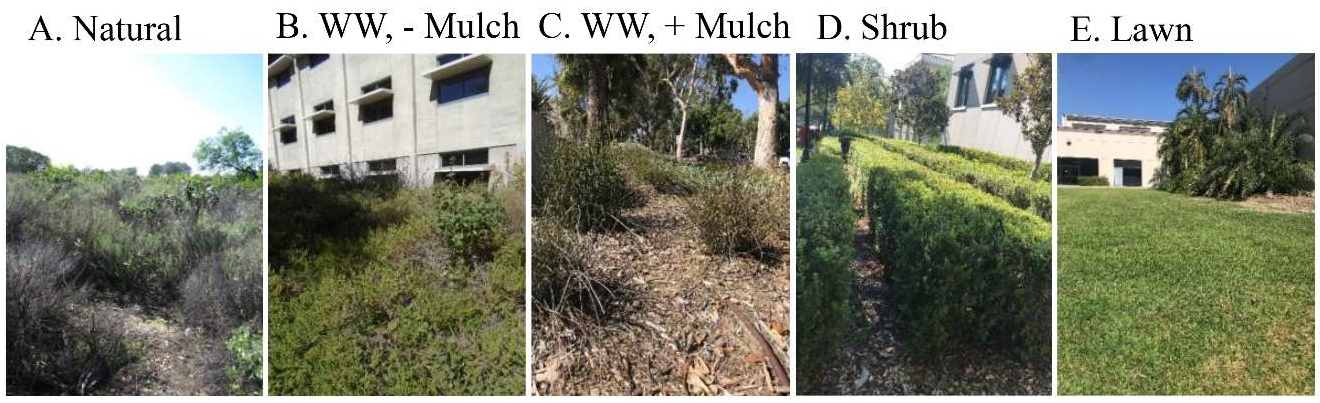 Urbansci 06 00061 g002 Urbansci 06 00061 g002