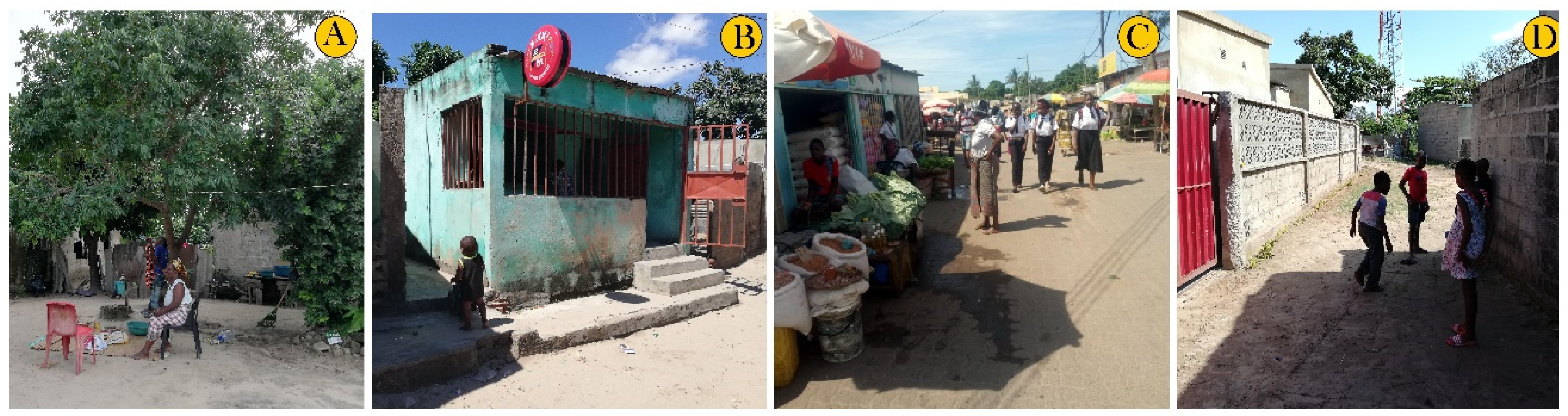 Urbansci 07 00012 g006