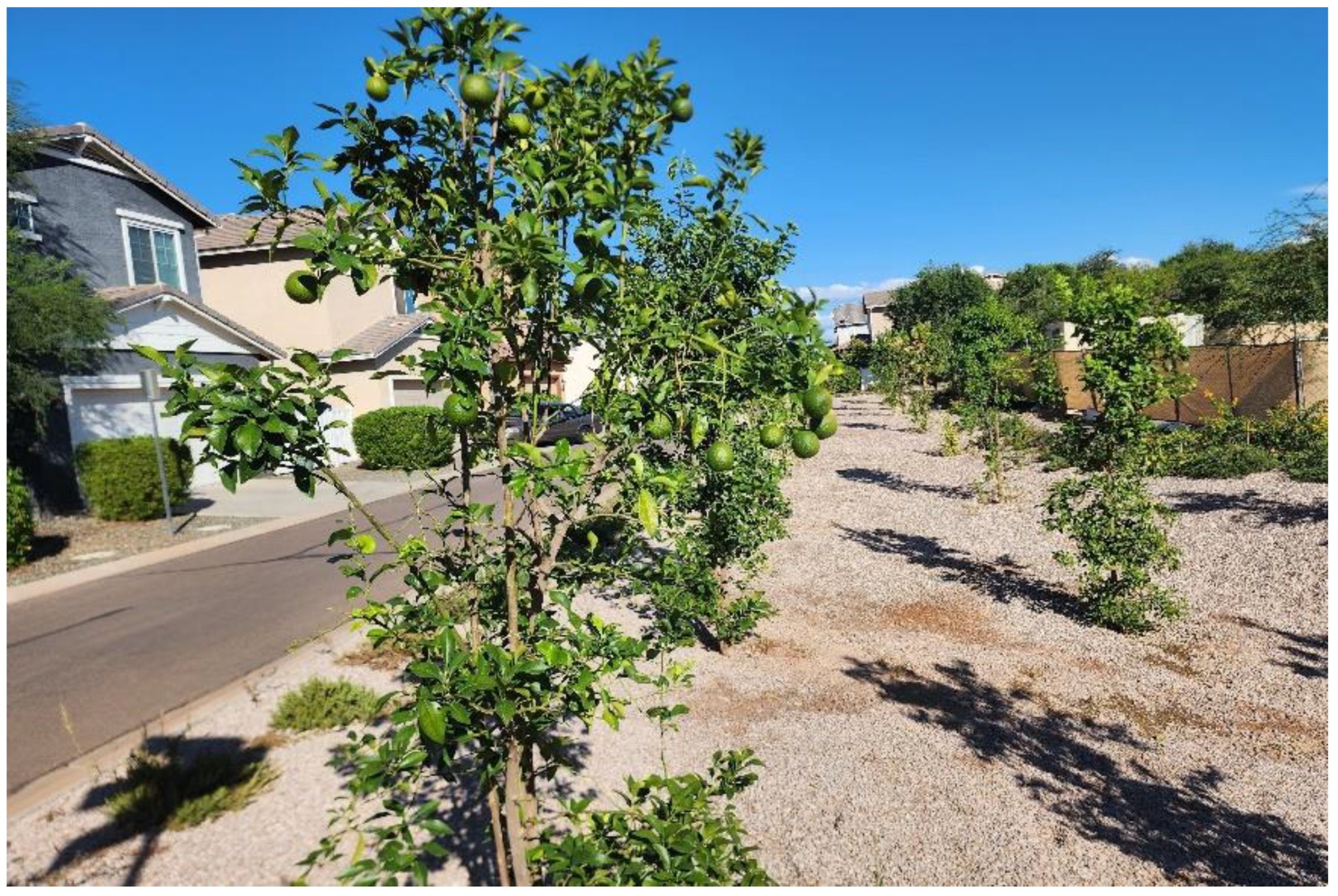 Urbansci 07 00054 g005