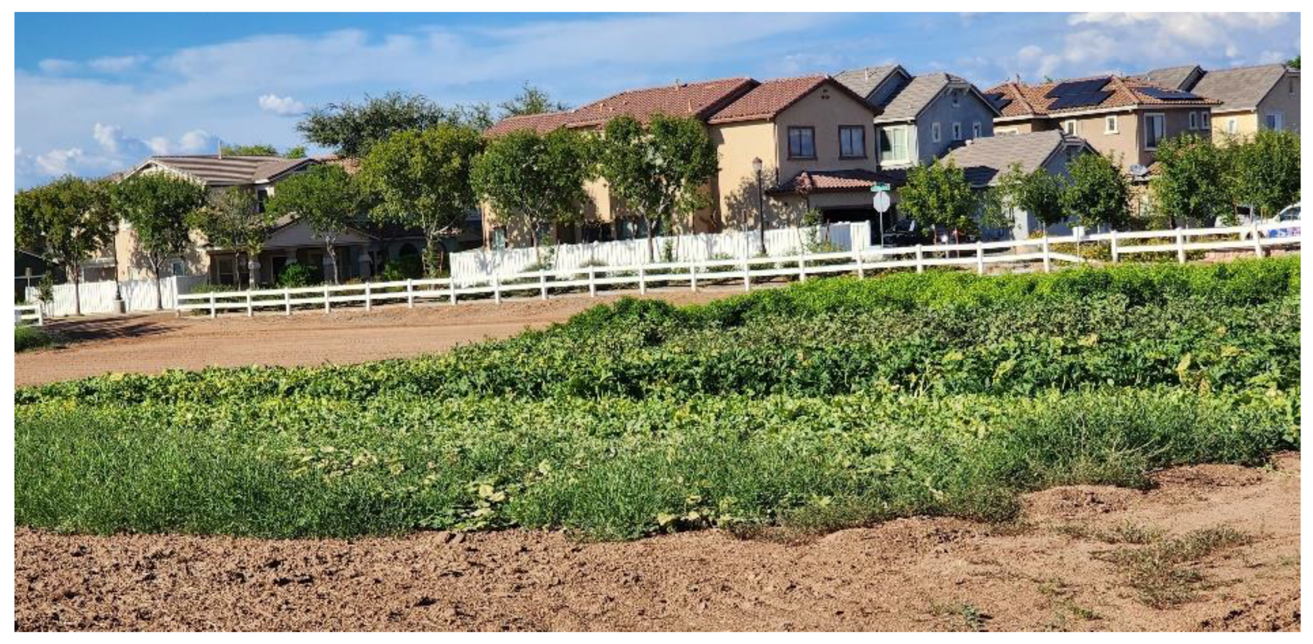 Urbansci 07 00054 g006