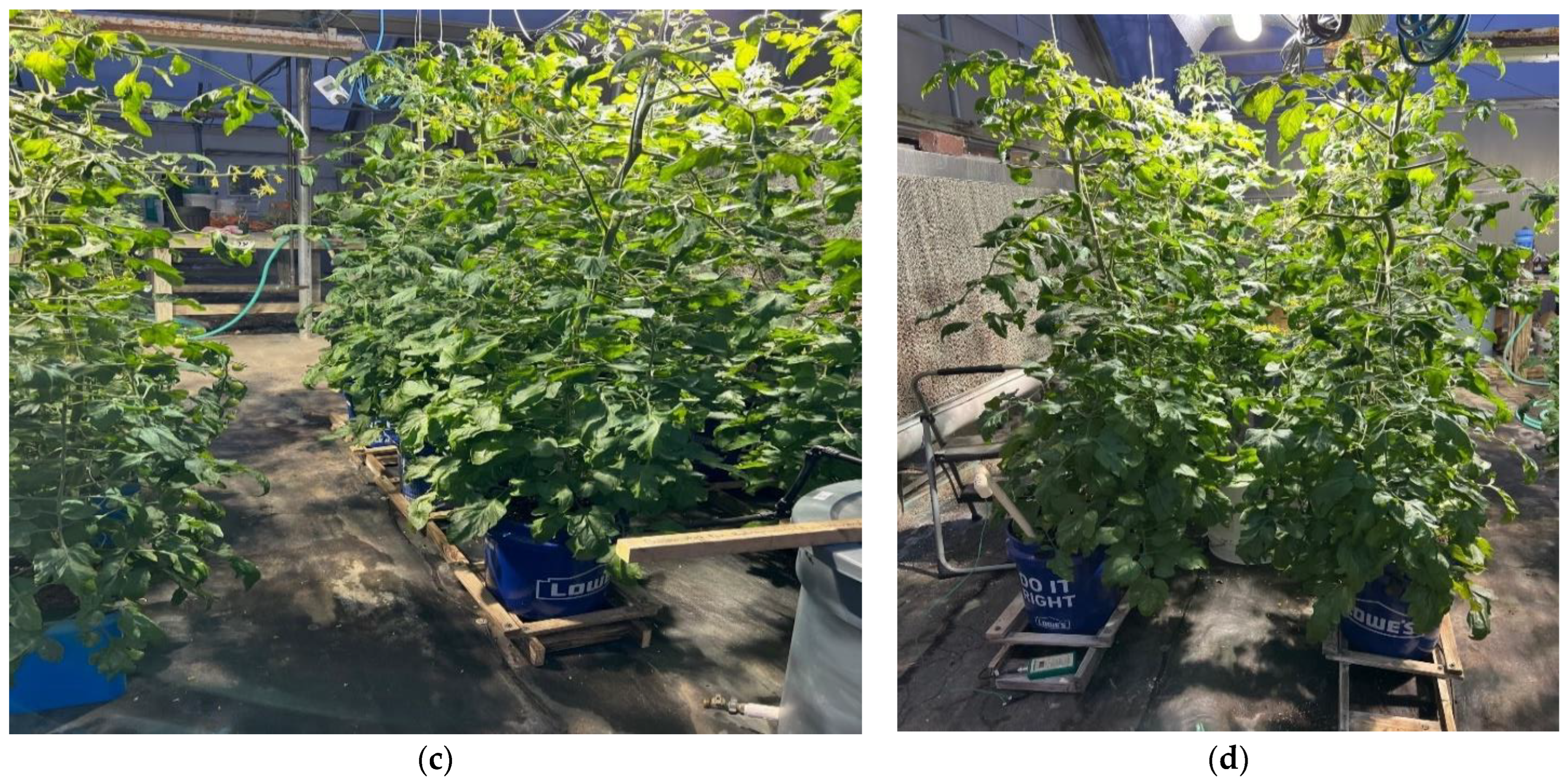 Urbansci 07 00054 g007b