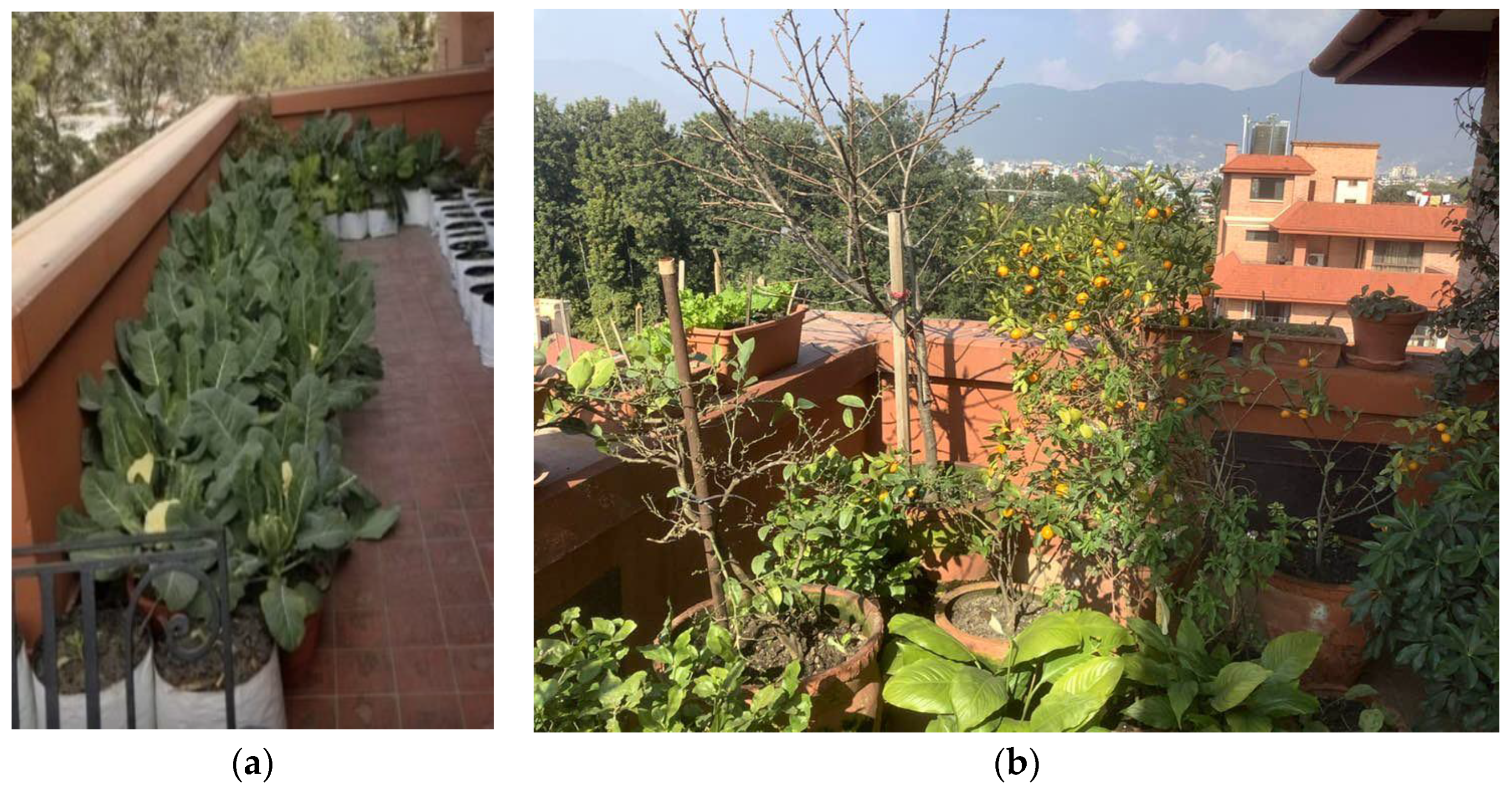 Urbansci 07 00054 g009