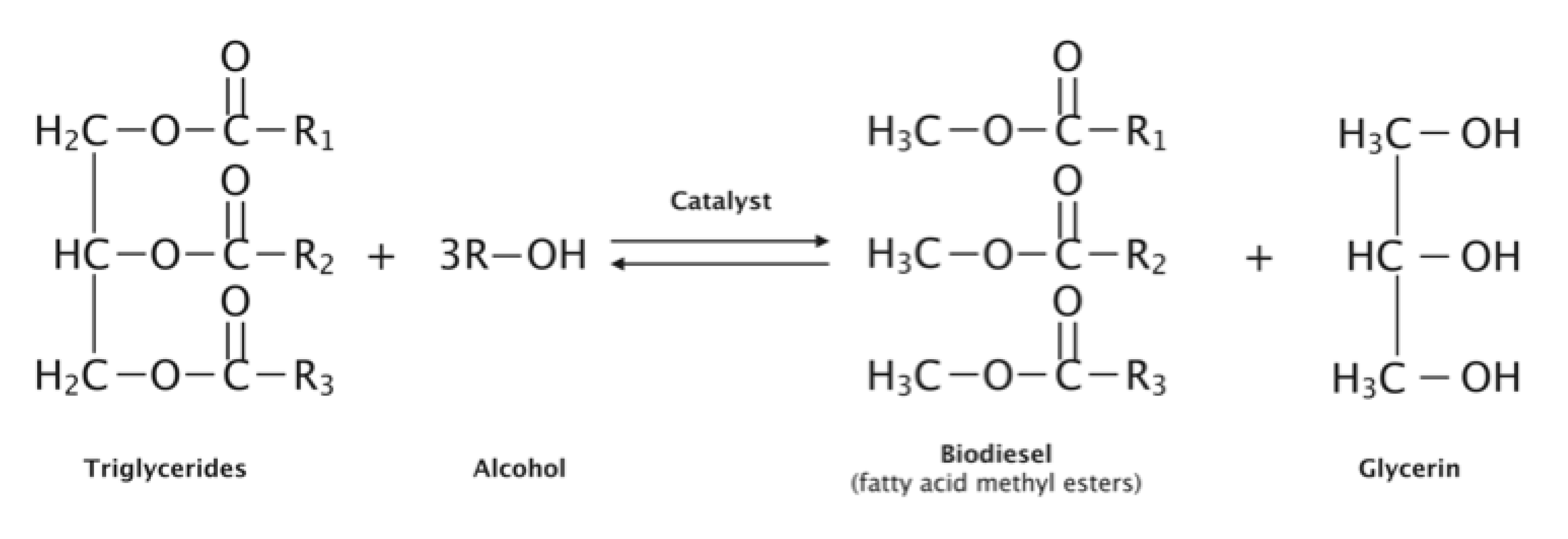 Urbansci 07 00080 g001 Urbansci 07 00080 g001