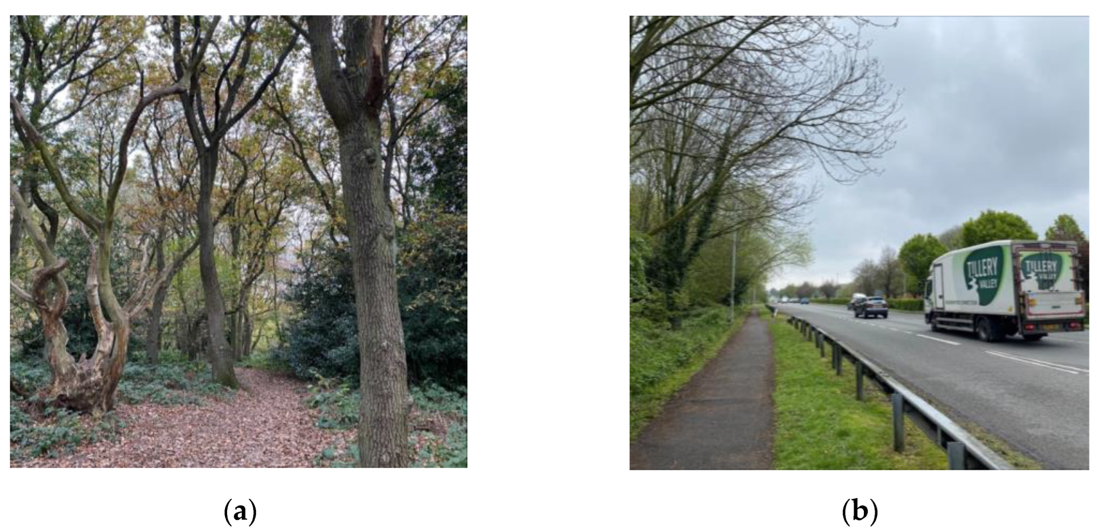 Urbansci 07 00085 g001 Urbansci 07 00085 g001