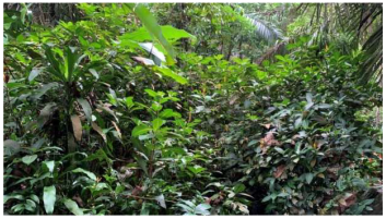 Urbansci 07 00092 i003