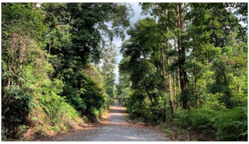 Urbansci 07 00092 i006