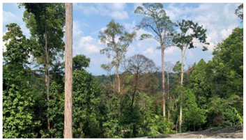 Urbansci 07 00092 i009