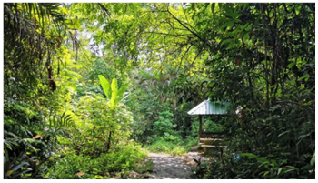 Urbansci 07 00092 i014