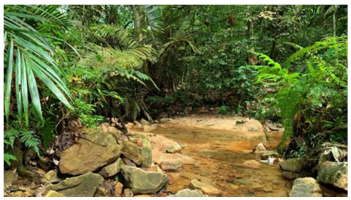 Urbansci 07 00092 i015