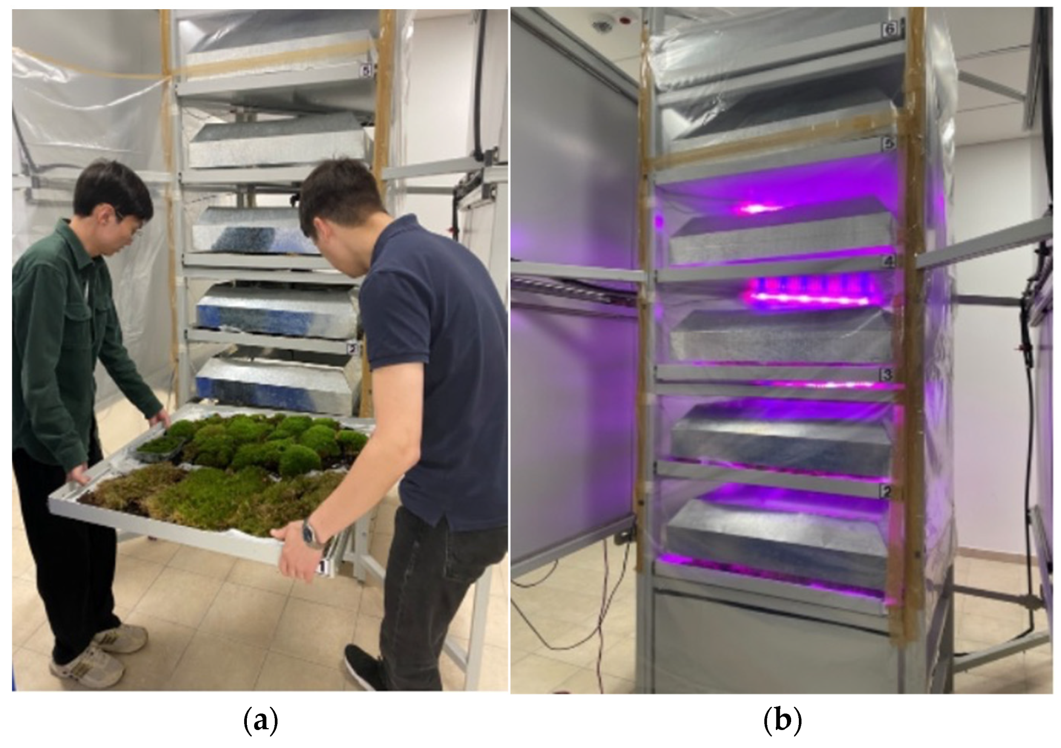 Urbansci 07 00104 g003