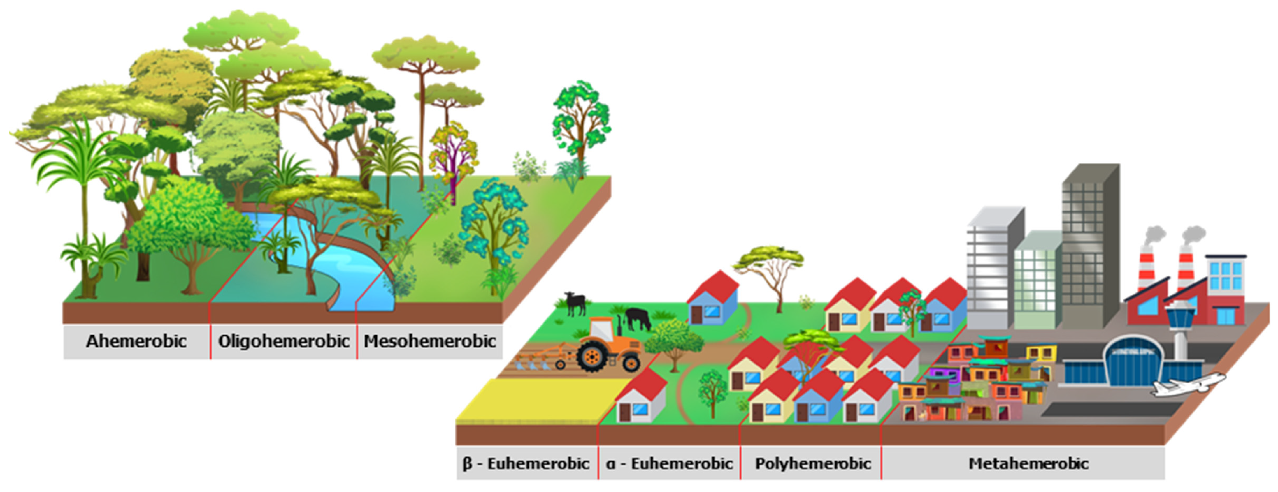 Urbansci 08 00015 g002 Urbansci 08 00015 g002