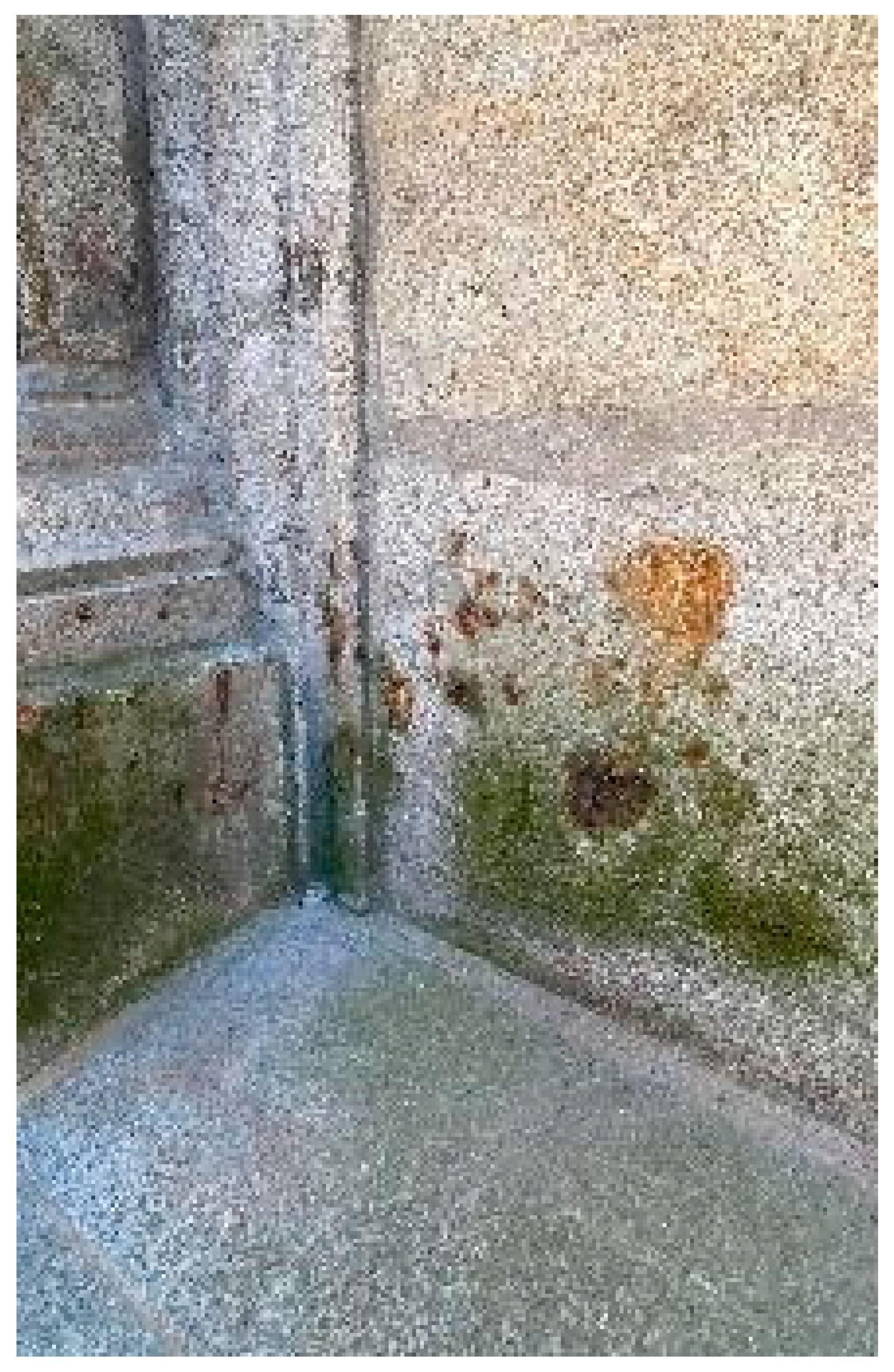 Urbansci 08 00031 g022