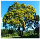 Urbansci 08 00136 i001