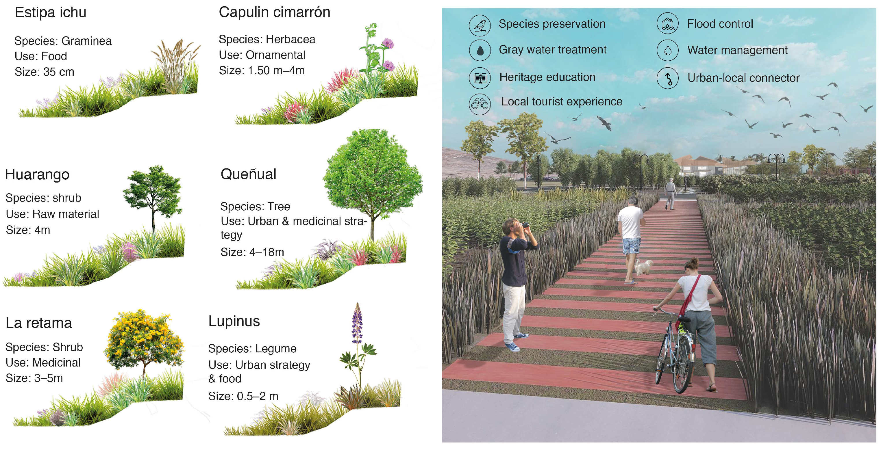 Urbansci 08 00138 g027