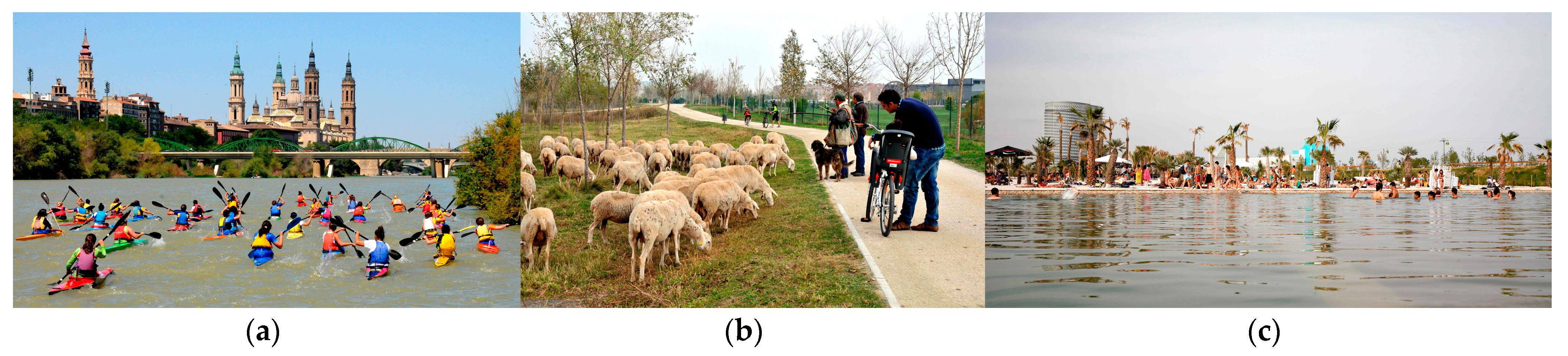 Urbansci 08 00152 g003