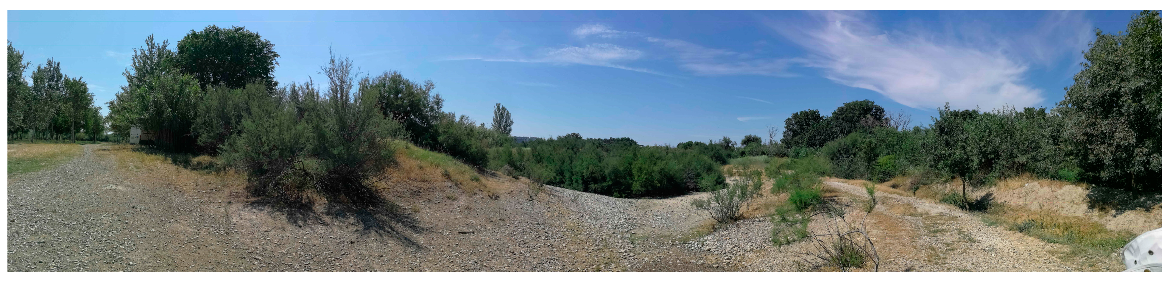 Urbansci 08 00152 g005