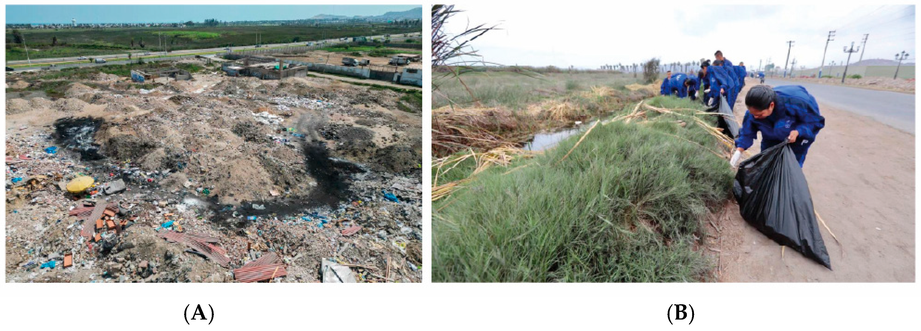 Urbansci 08 00156 g003