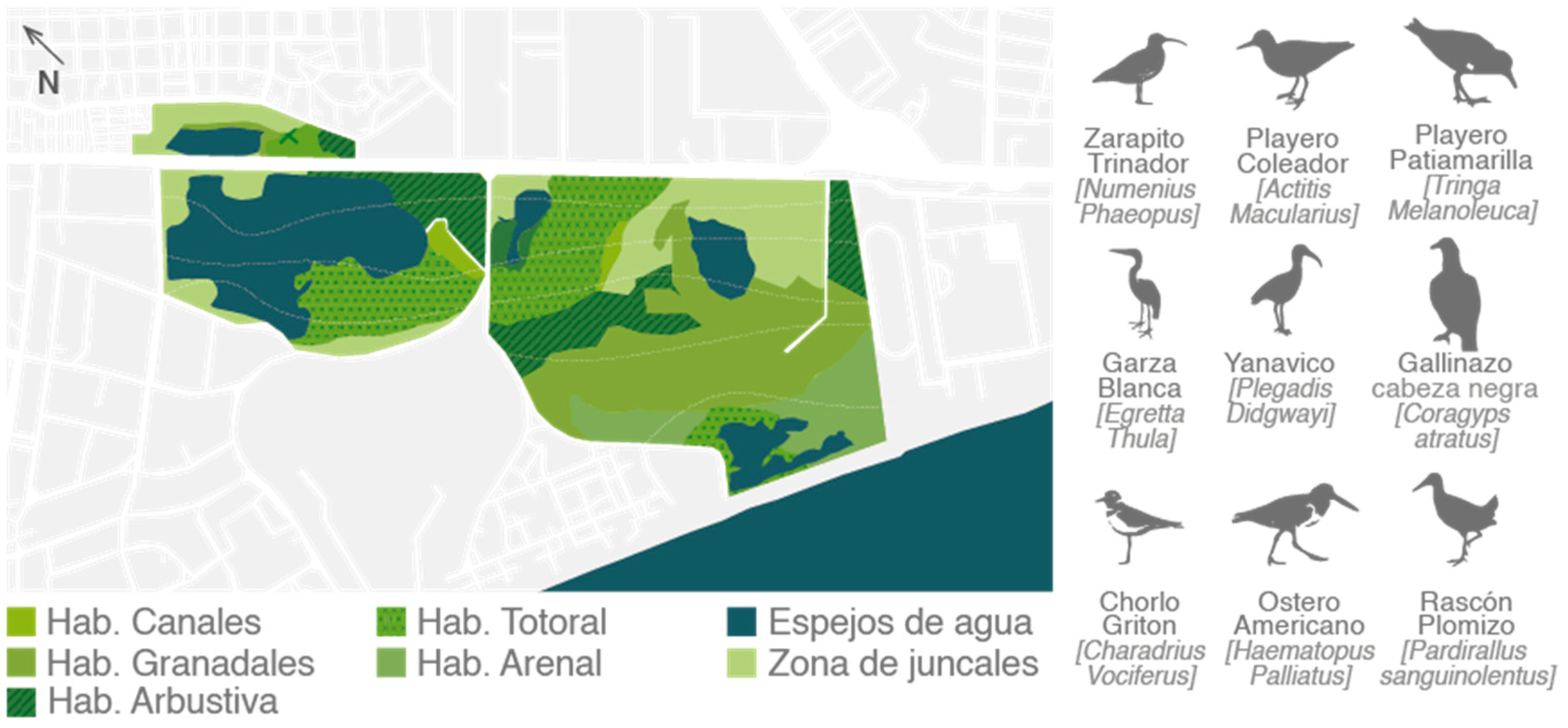 Urbansci 08 00156 g009